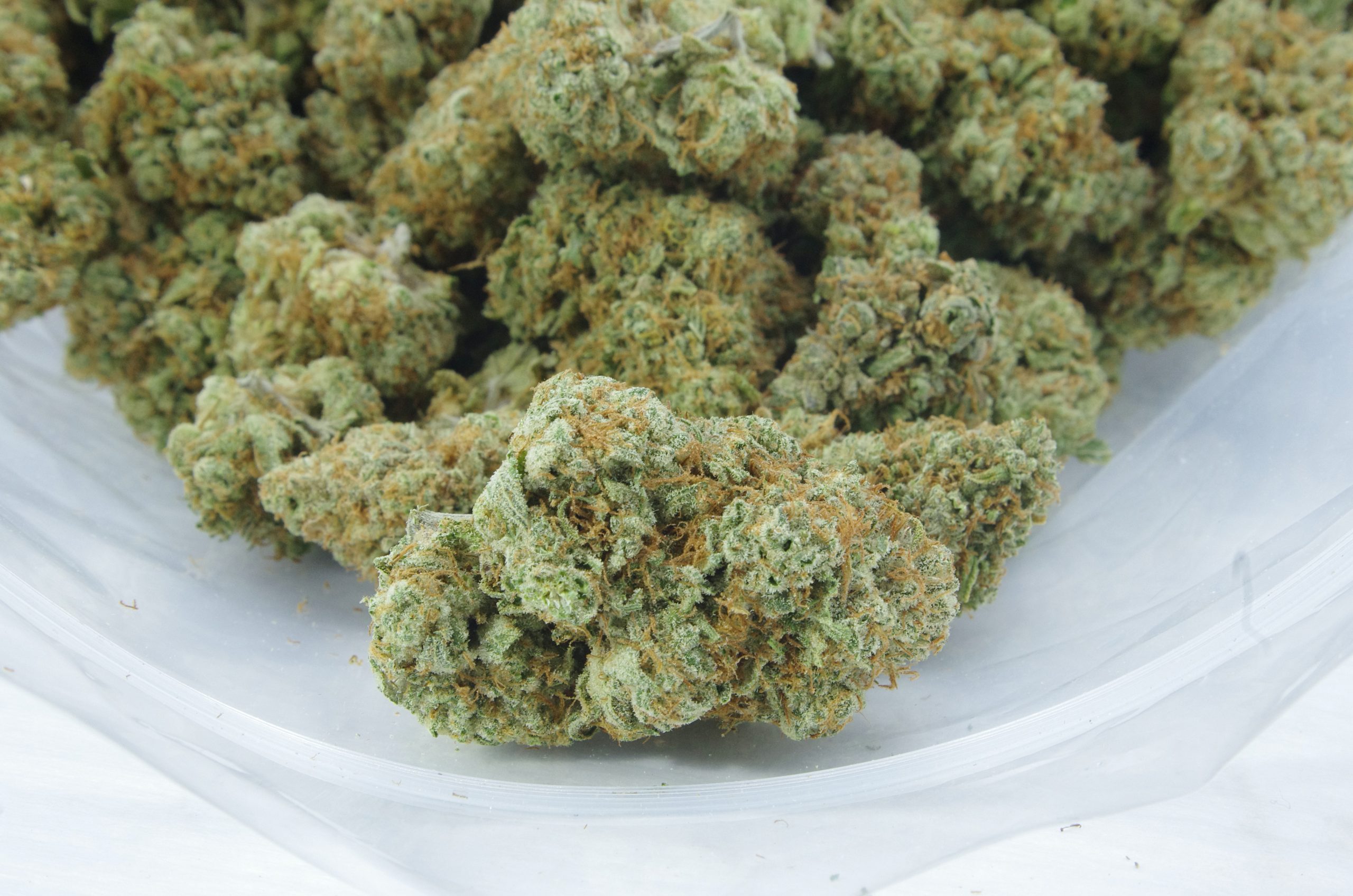 tangerine dream bag scaled Tangerine Dream (Oz Special)