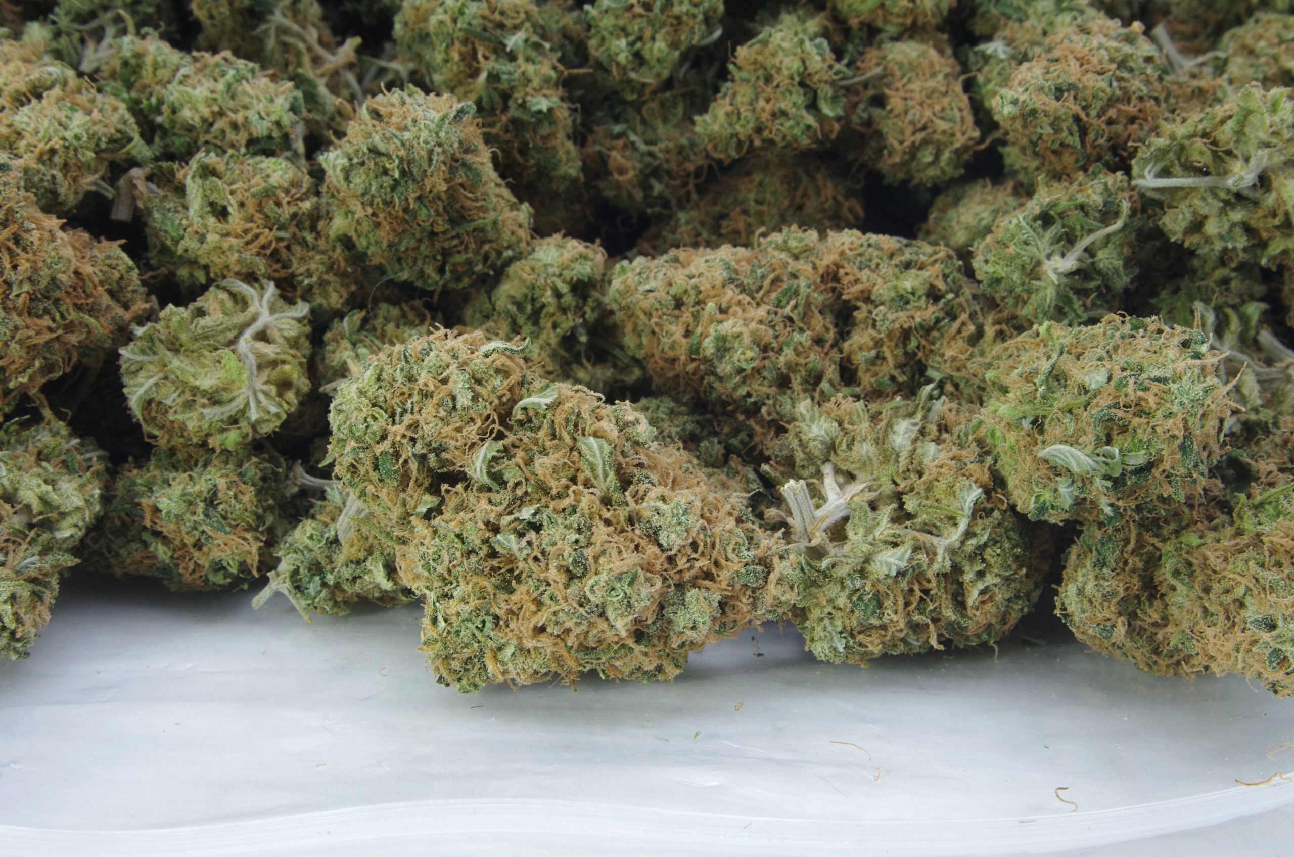 Amnesia Haze bag scaled Amnesia Haze Oz Special
