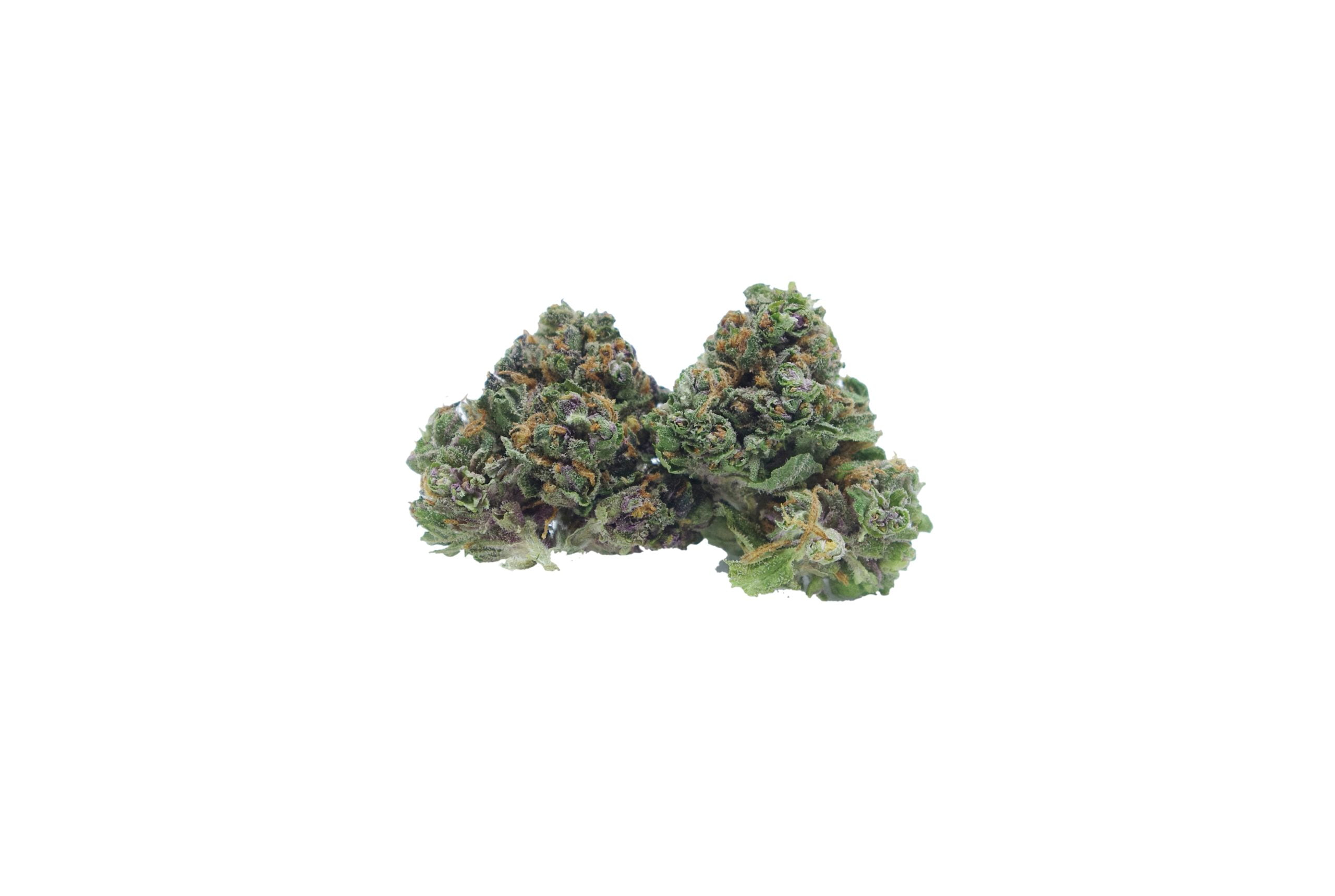 Blood orange mids buds scaled Blood Orange Mids Oz Special