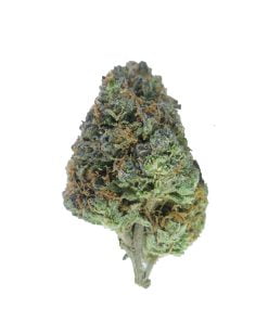 buy chemdawg online