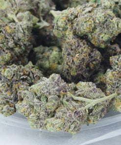Tropicanna Cookies bag Tropicanna Cookies bag