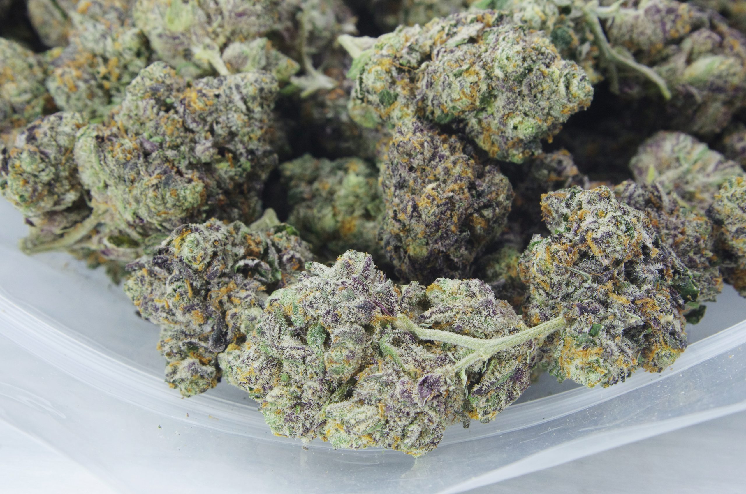 Tropicanna Cookies bag scaled Tropicanna Cookies (Oz Special)