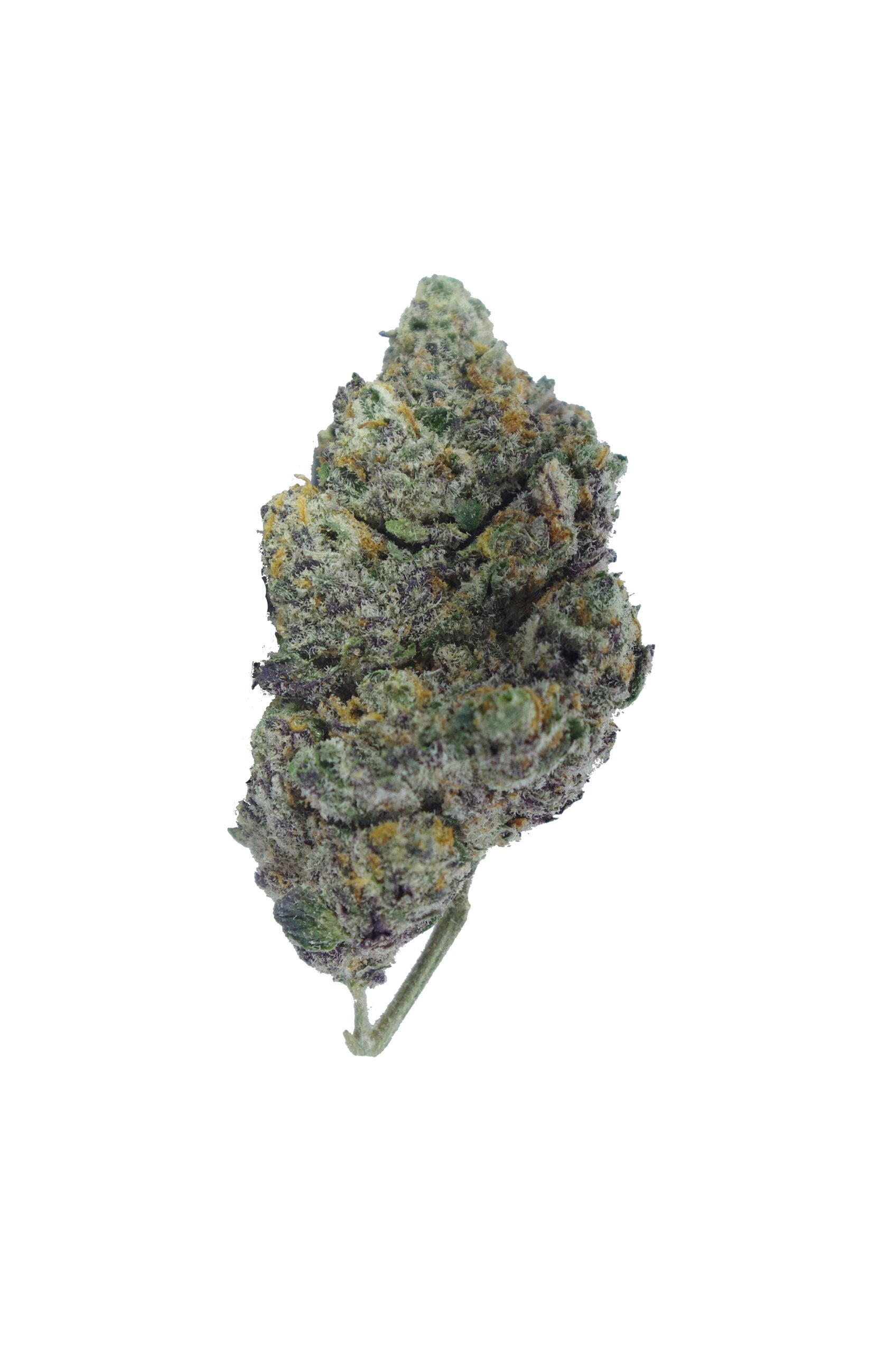 Tropicanna Cookies bud scaled Tropicanna Cookies (Oz Special)