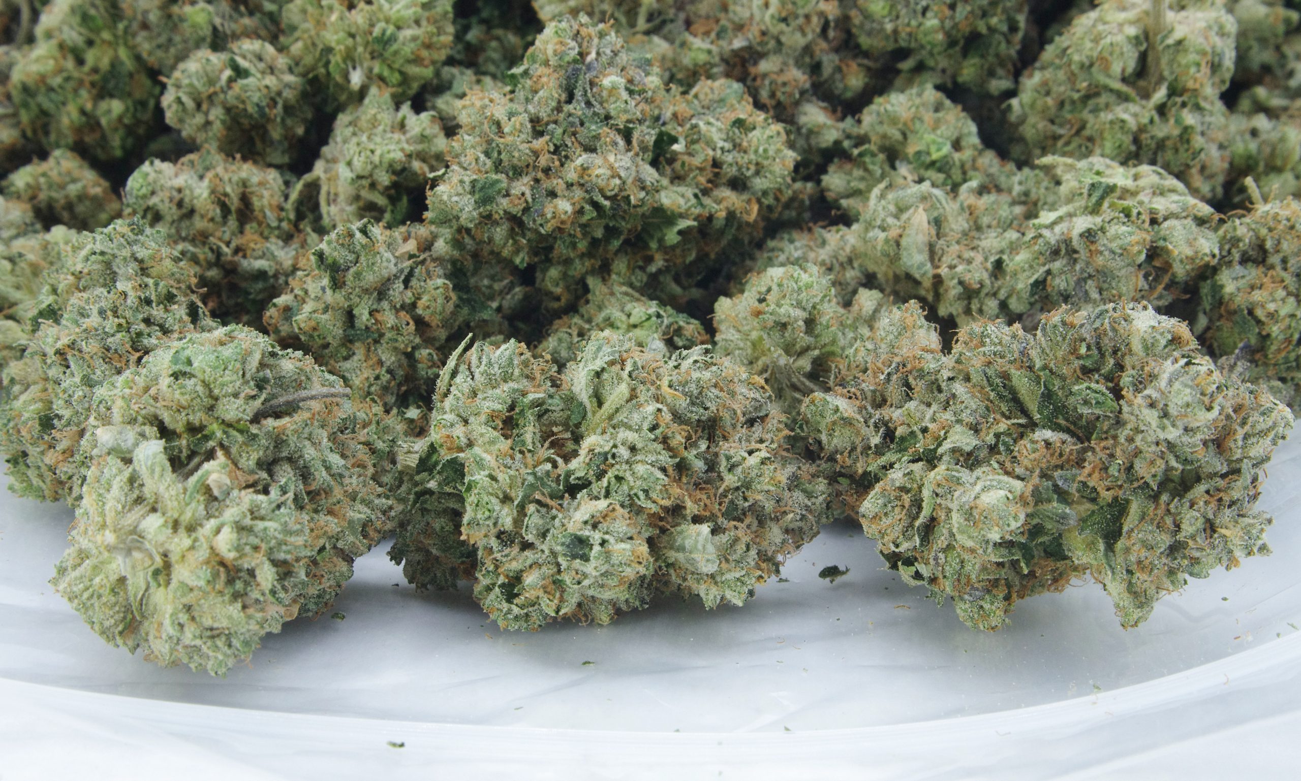 Tuna Kush bag scaled Tuna Kush Oz Special