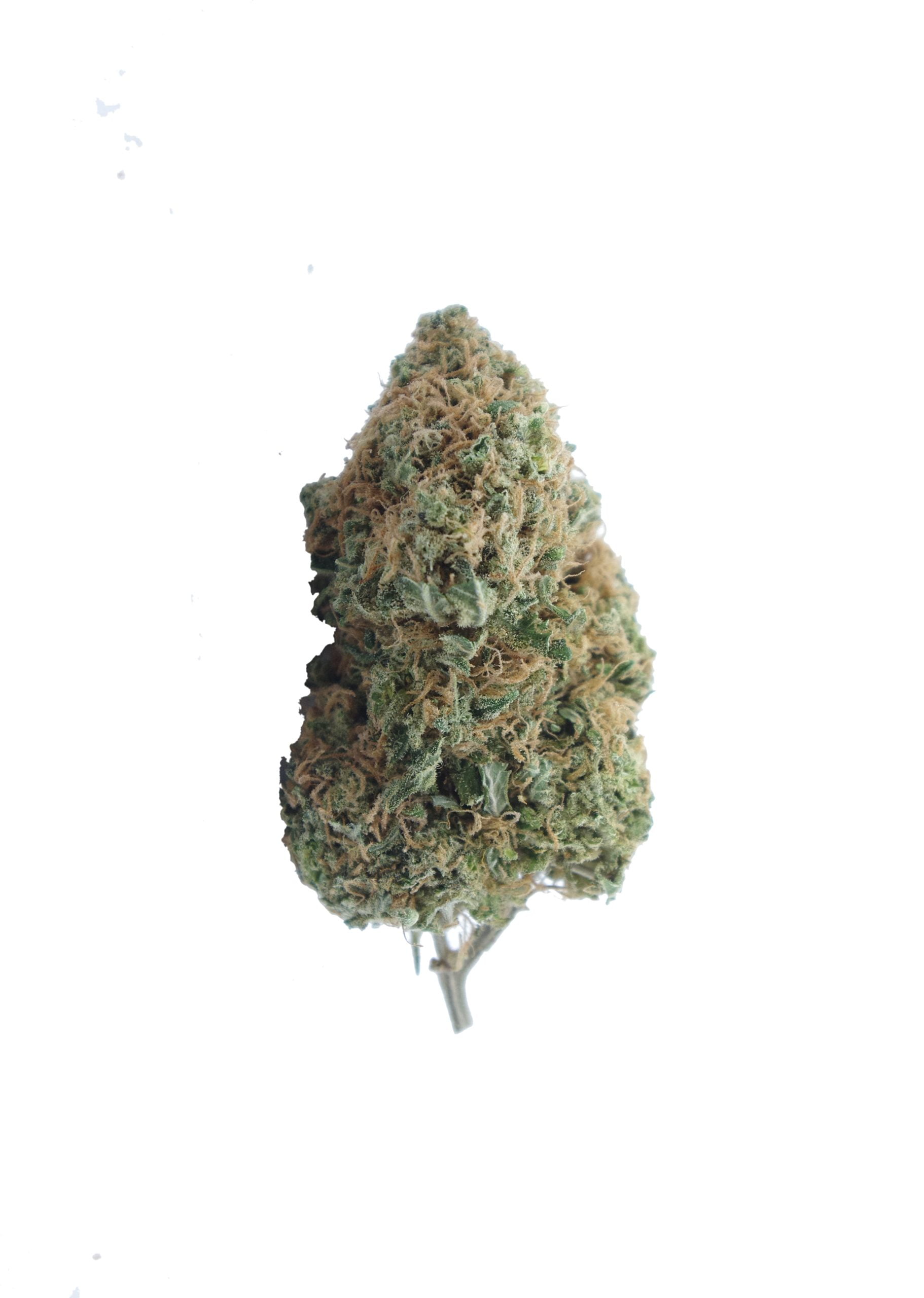 amnesia hazze bud scaled Amnesia Haze Oz Special