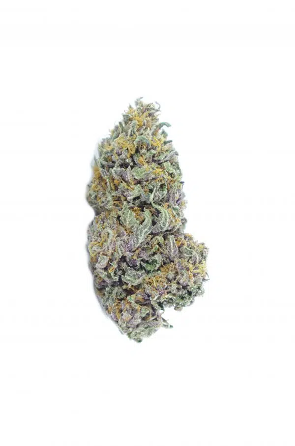 baboons ass bud Baboon Ass Oz Special