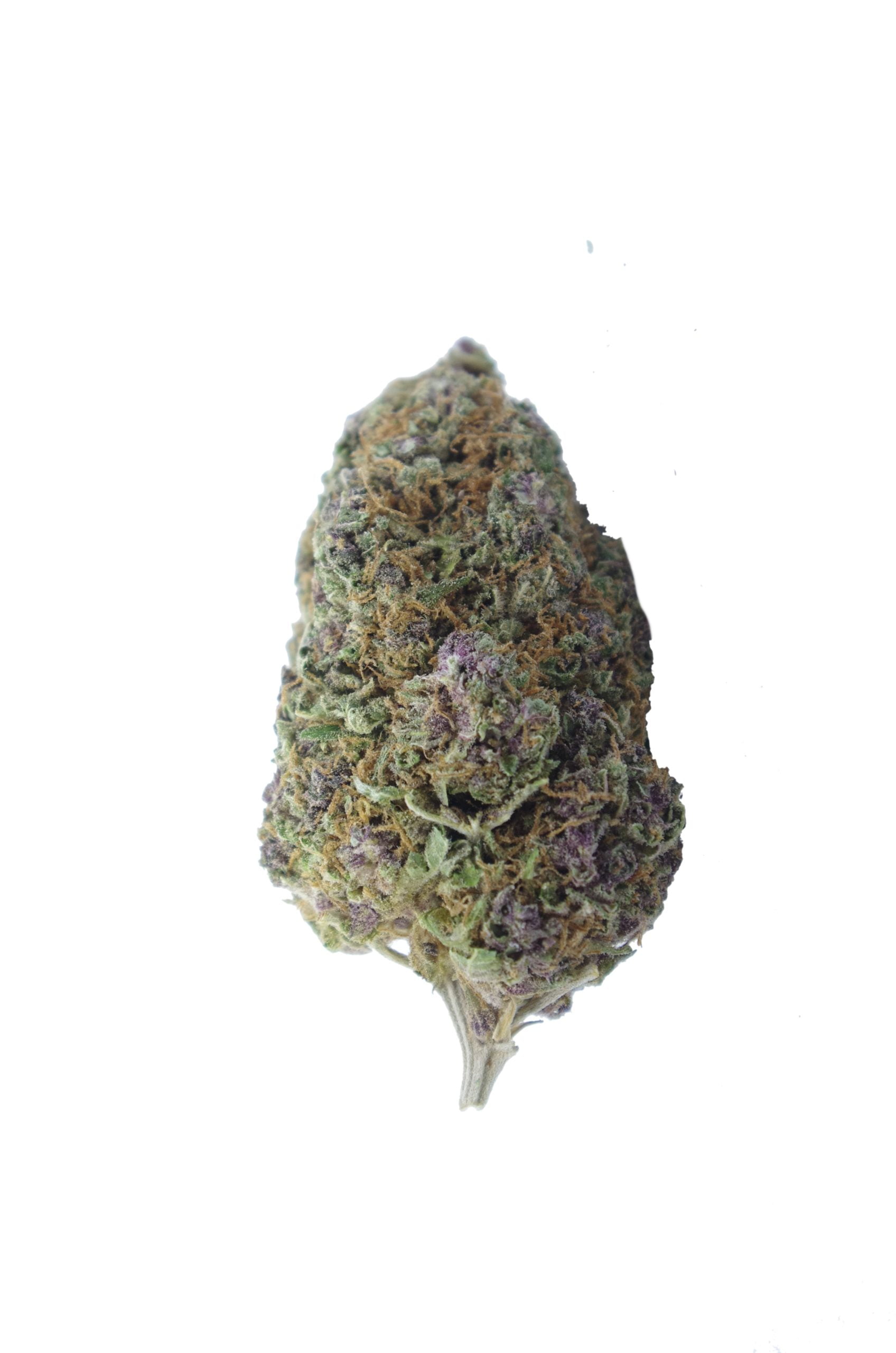 black domina bud scaled Black Domina Oz Special