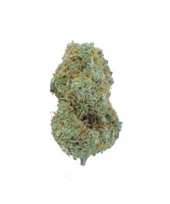 buy cannalope haze online