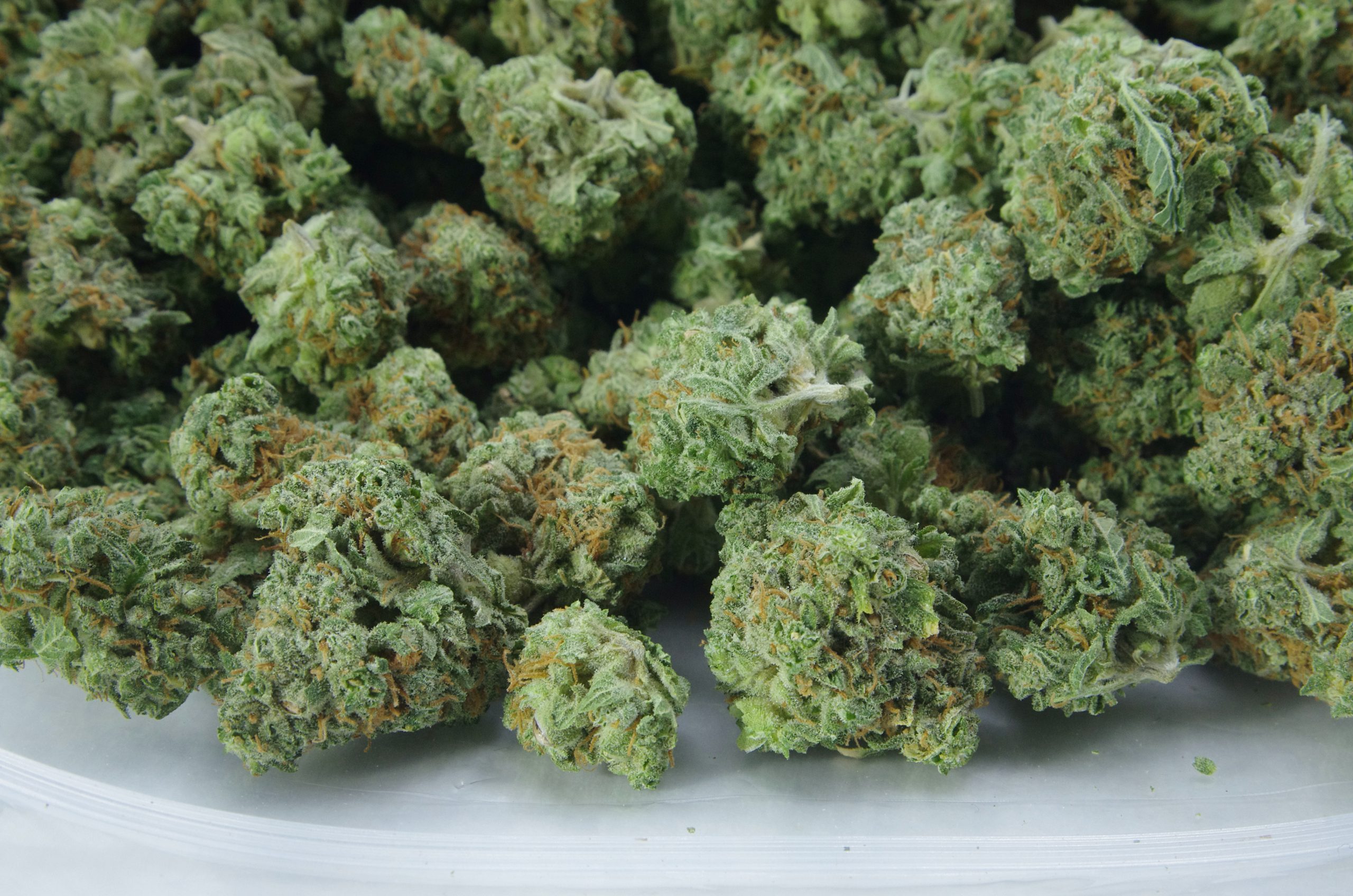 cannalope haze mids bag scaled Canalope Haze Mids Oz Special
