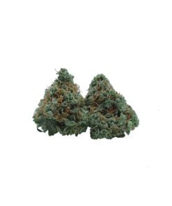 buy canalope haze online