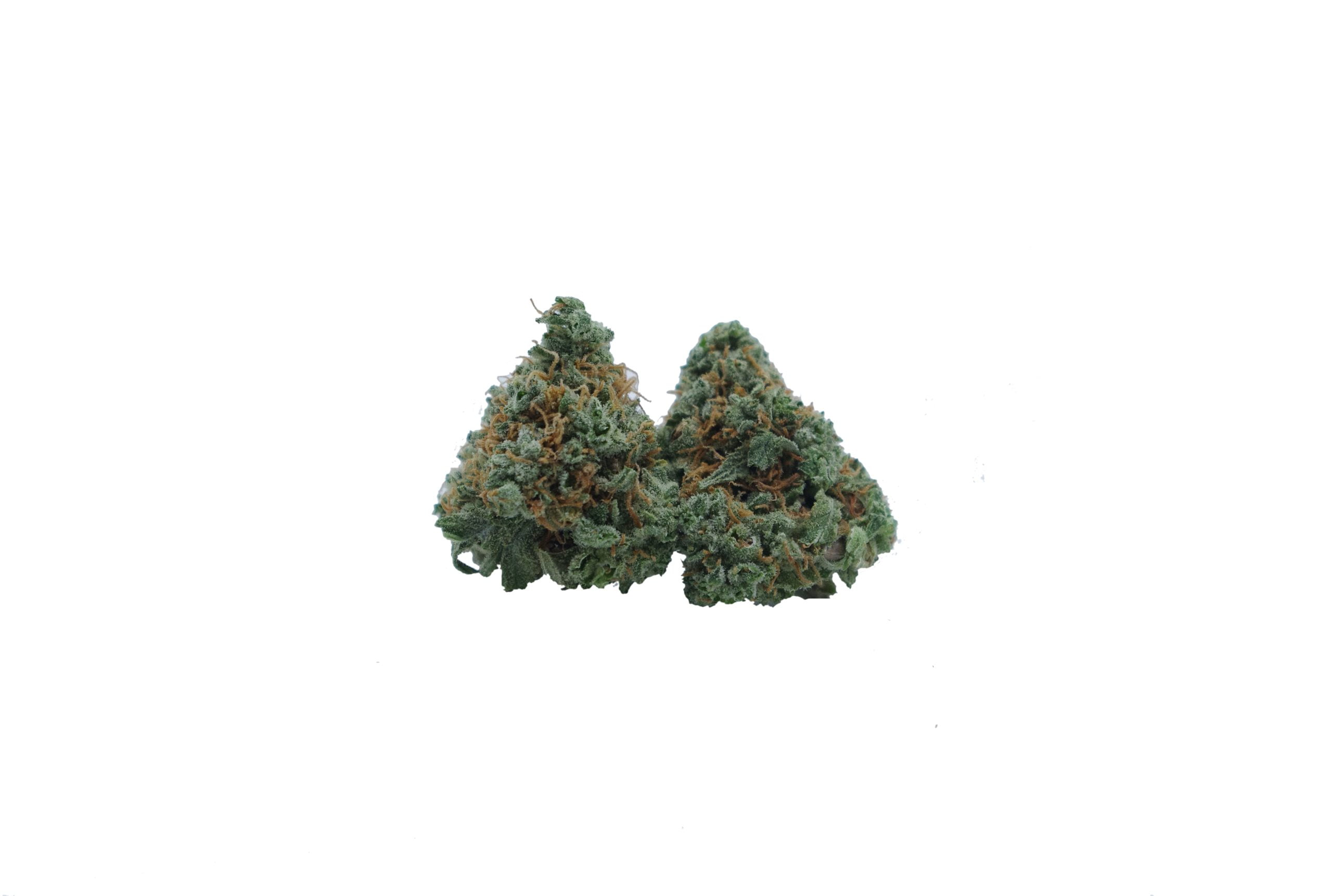 cannalope haze mids bud scaled Canalope Haze Mids Oz Special