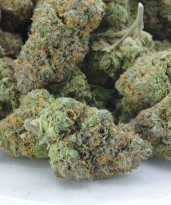 chemdawg bg