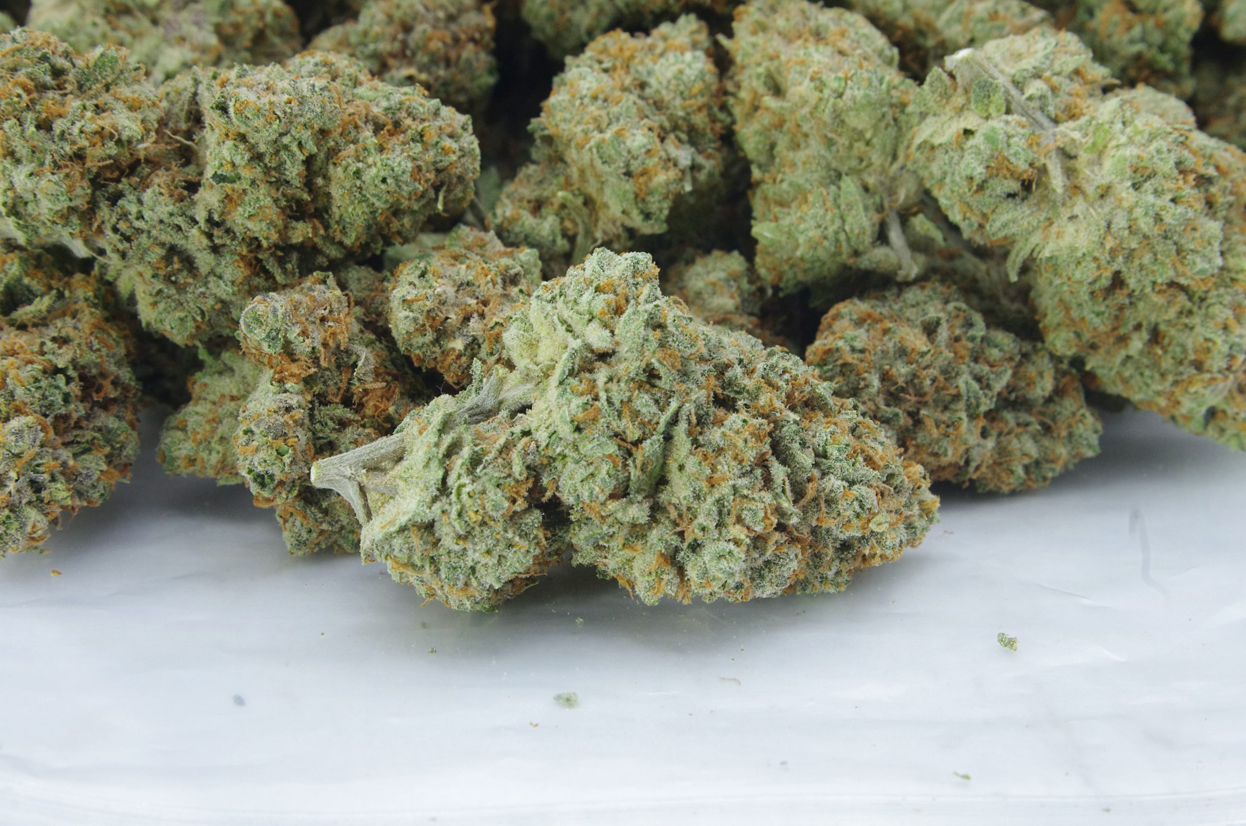 chocolope bag scaled Chocolope (3.5G)