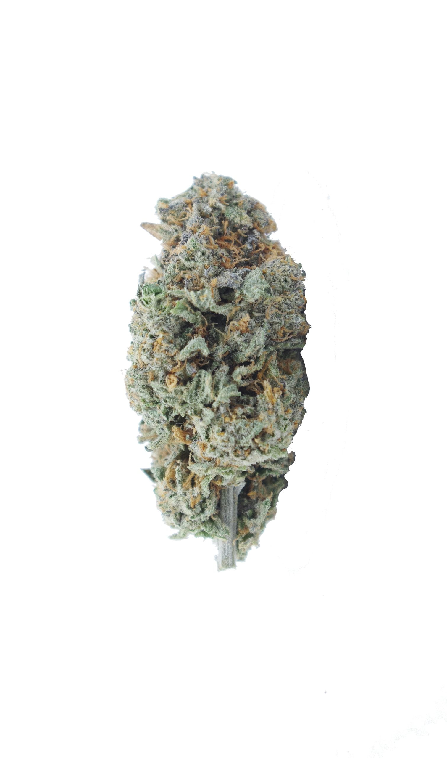 first class funk bud scaled First Class Funk Oz Special