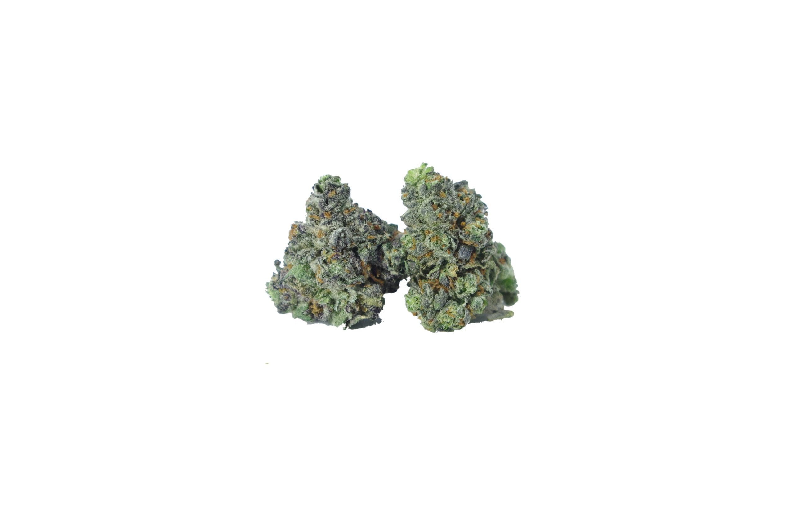 gelato smalls scaled Gelato Smalls Oz Special