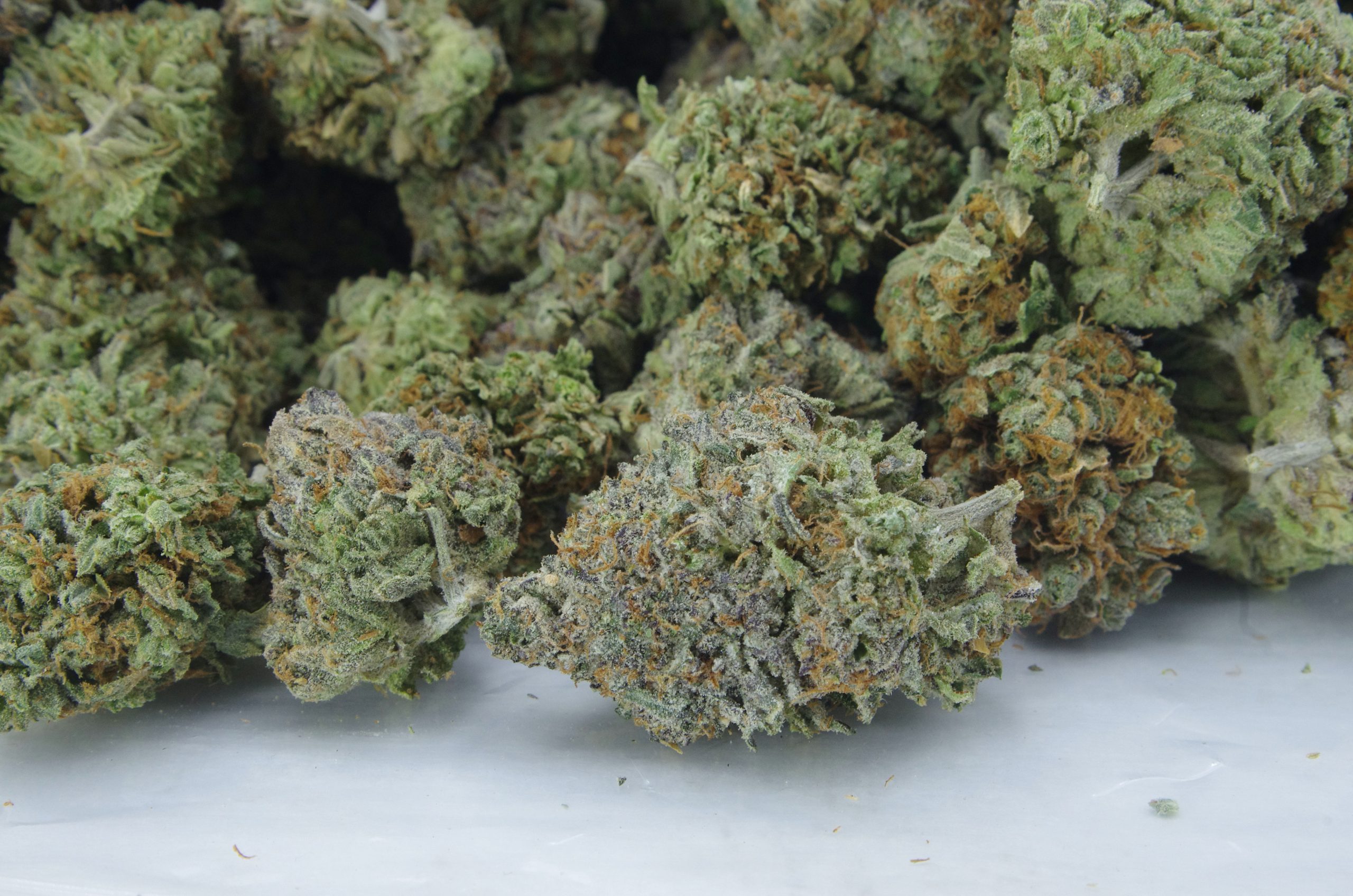 grape gas bag scaled Grape Gas Oz Special