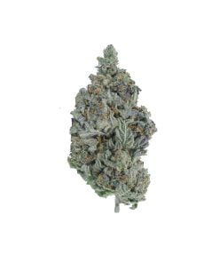 buy grape gas online