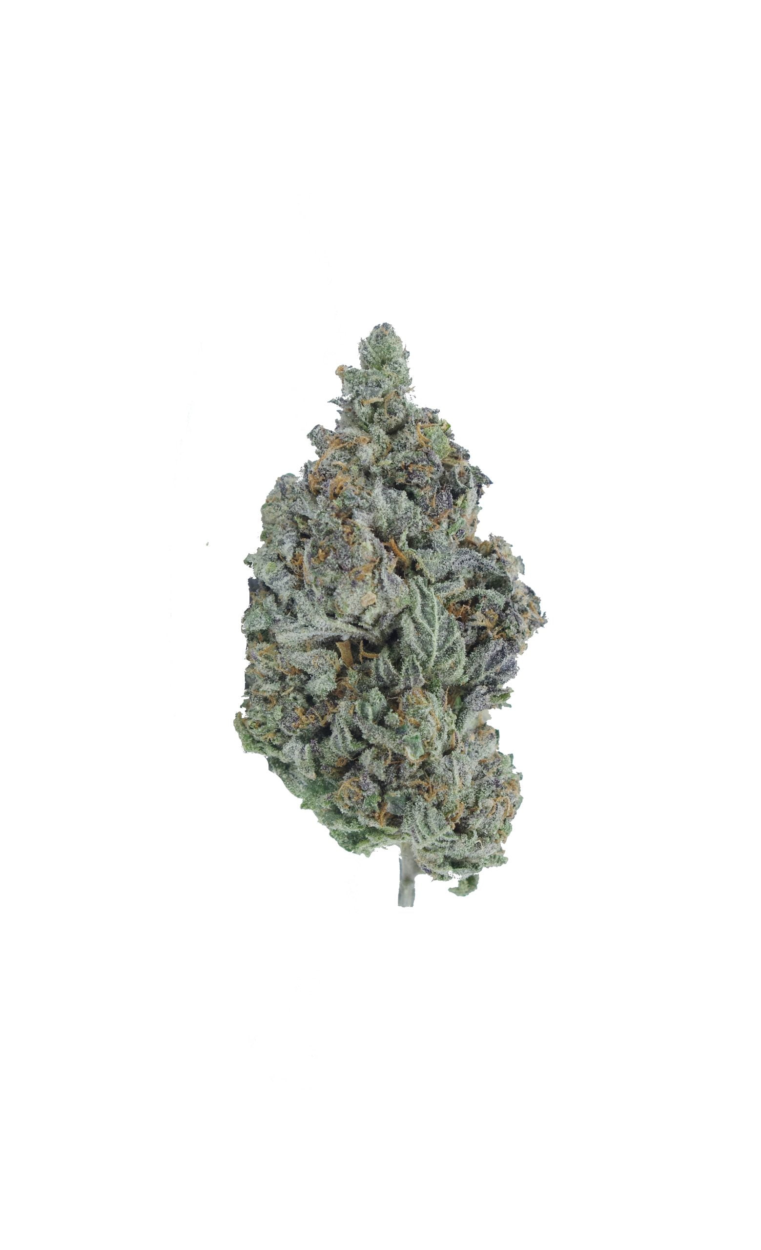 grape gas bud scaled Grape Gas Oz Special