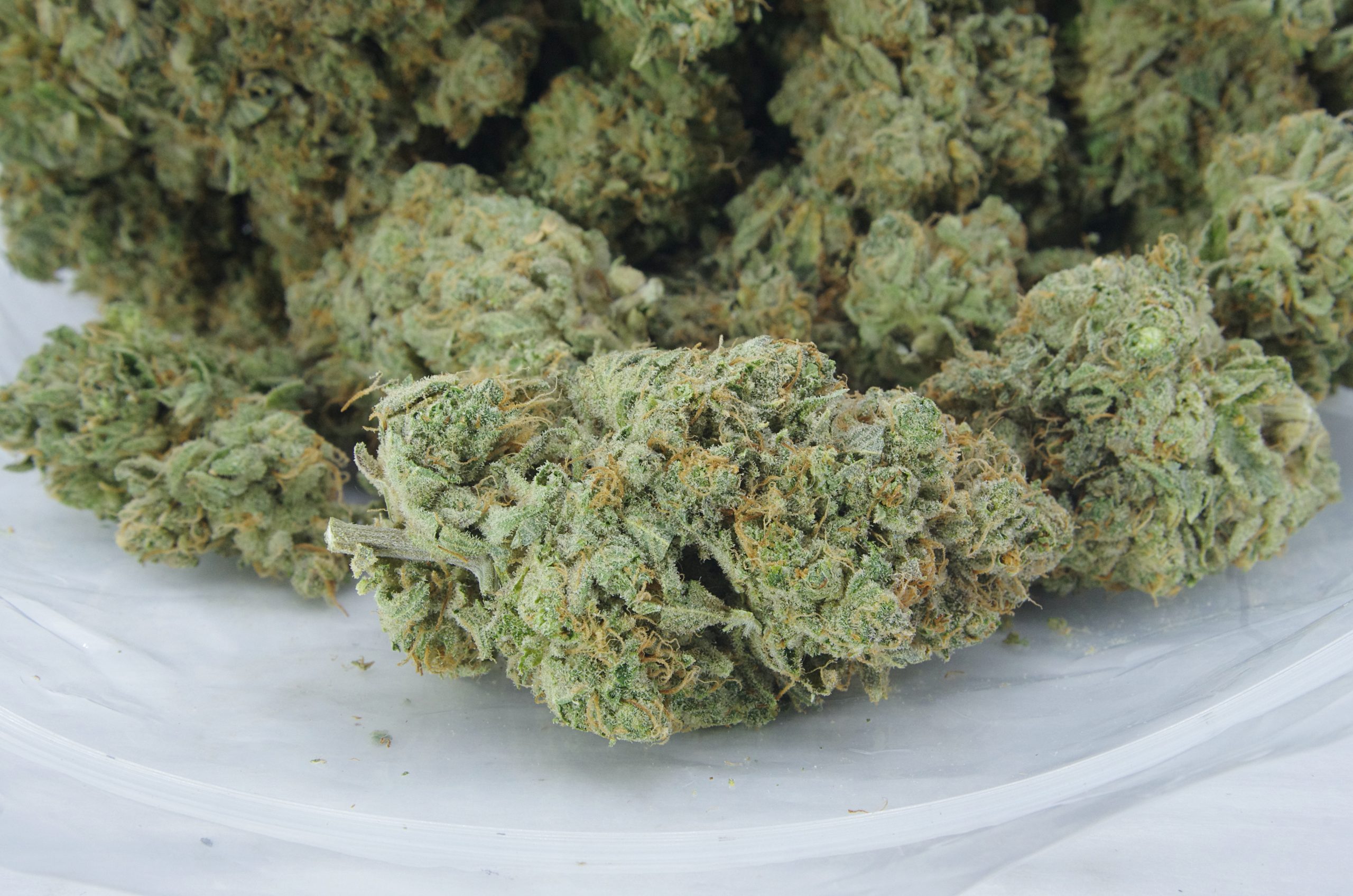 greasy pink bag scaled Greasy Pink (3.5G)