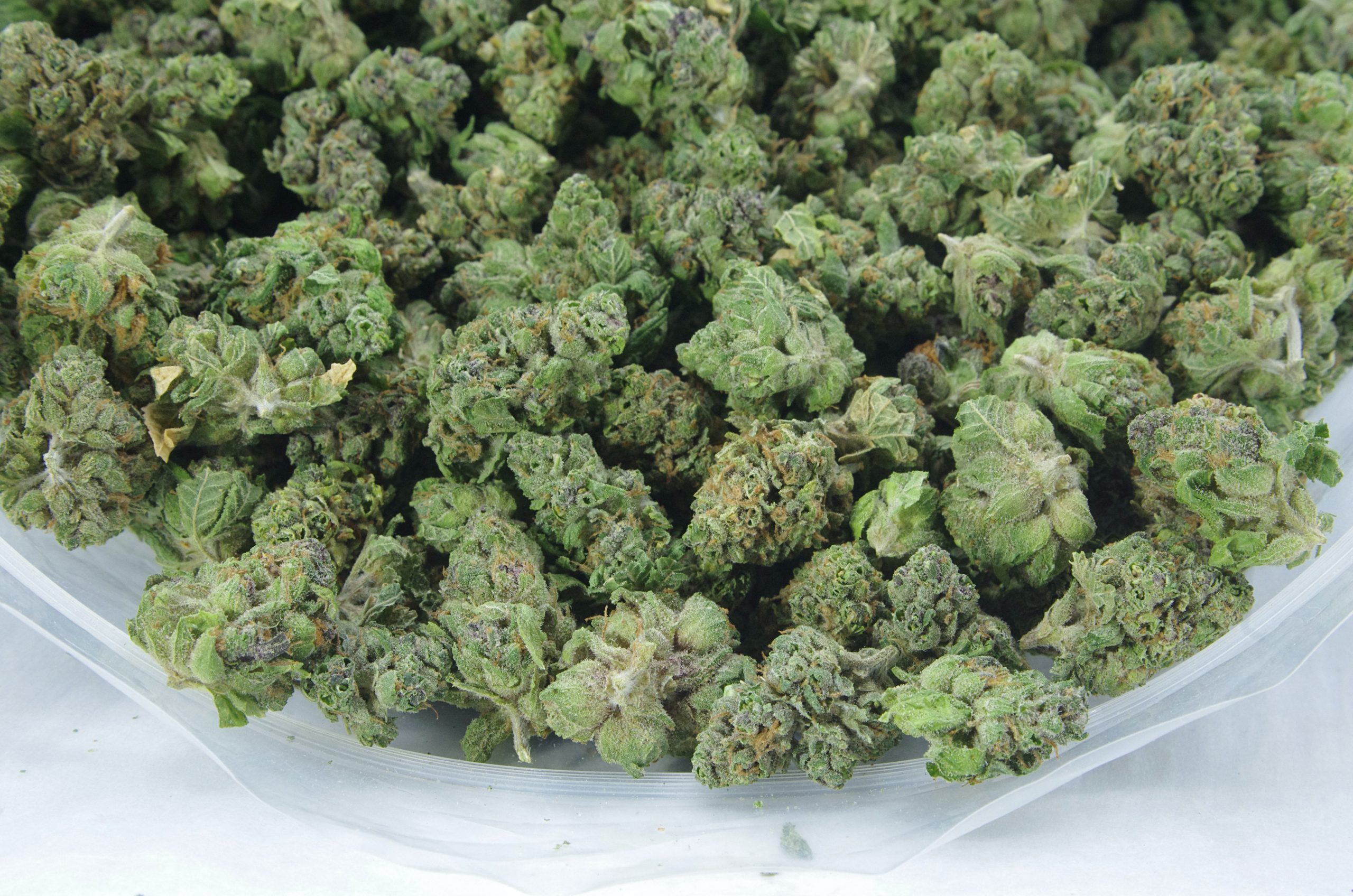mimosa smalls bag scaled Mimosa Smalls (Oz Special)