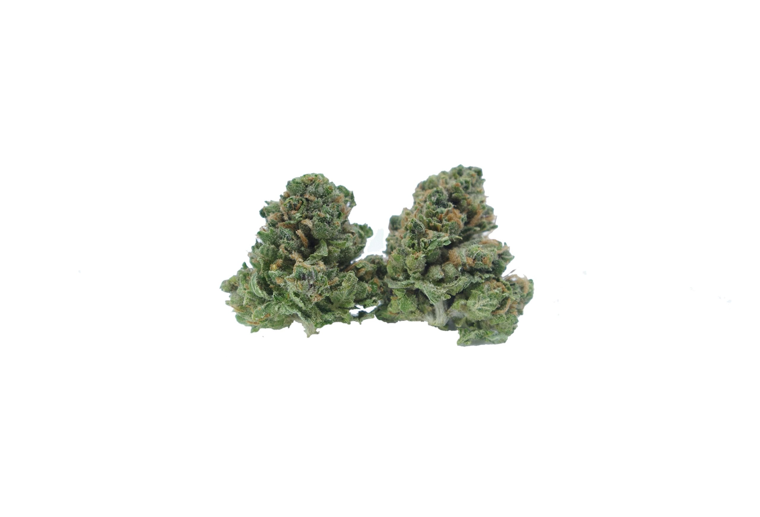 mimosa smalls bud scaled Mimosa Smalls (Oz Special)