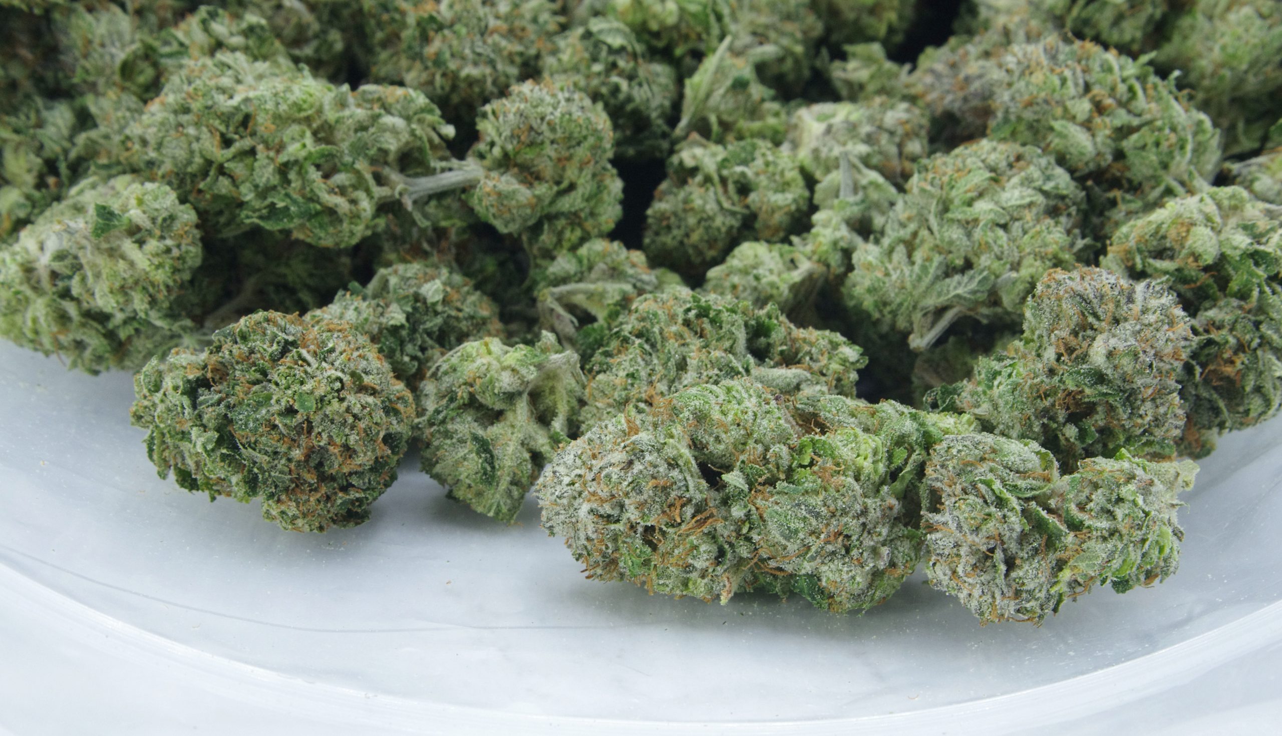 pink kush bag scaled Pink Kush Oz Special