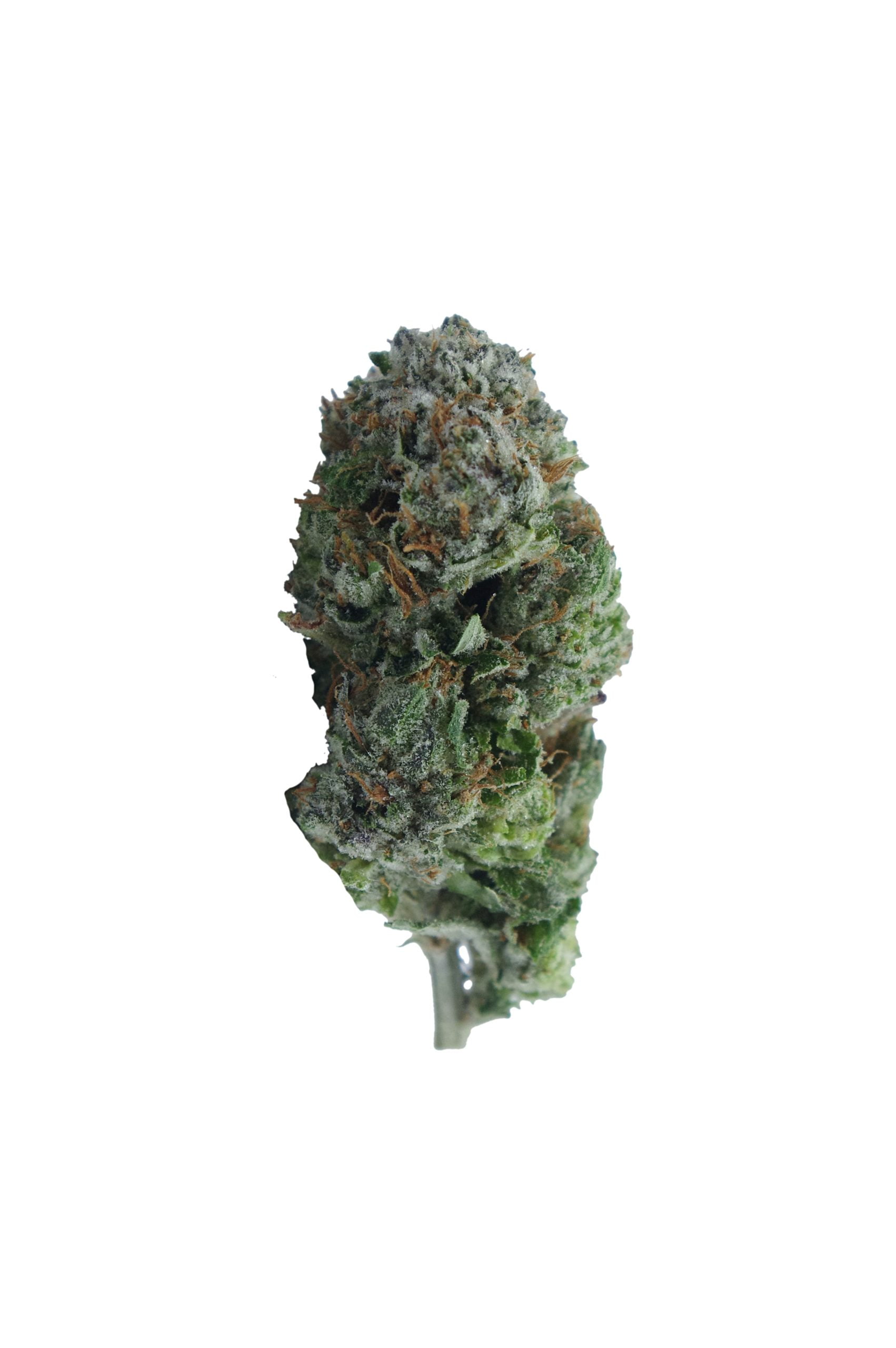 pink kush bud scaled Island Pink Kush (Oz Special)