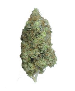 buy pre-98 bubba online