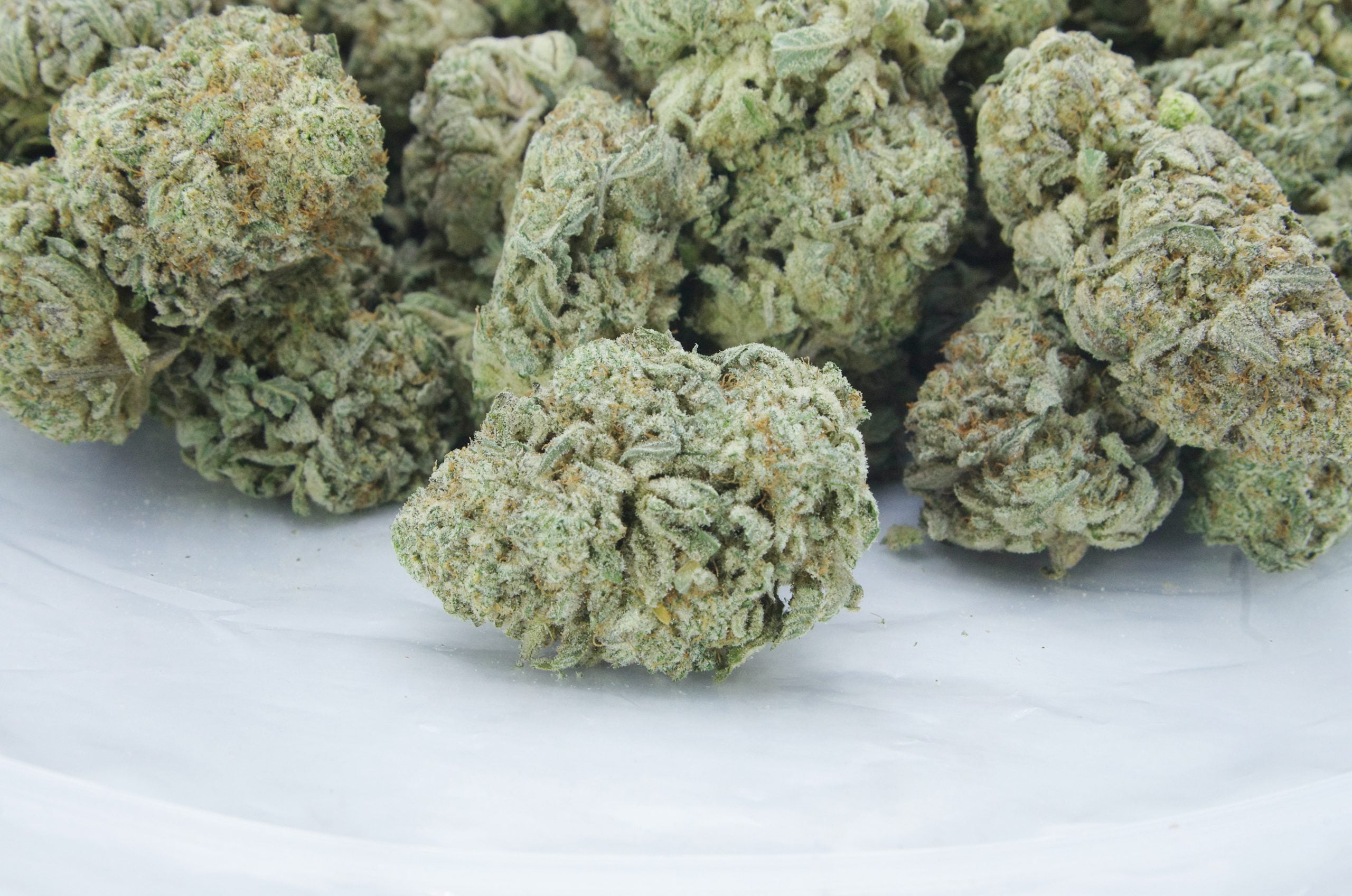 quattro kush bag scaled Quattro Kush Oz Special