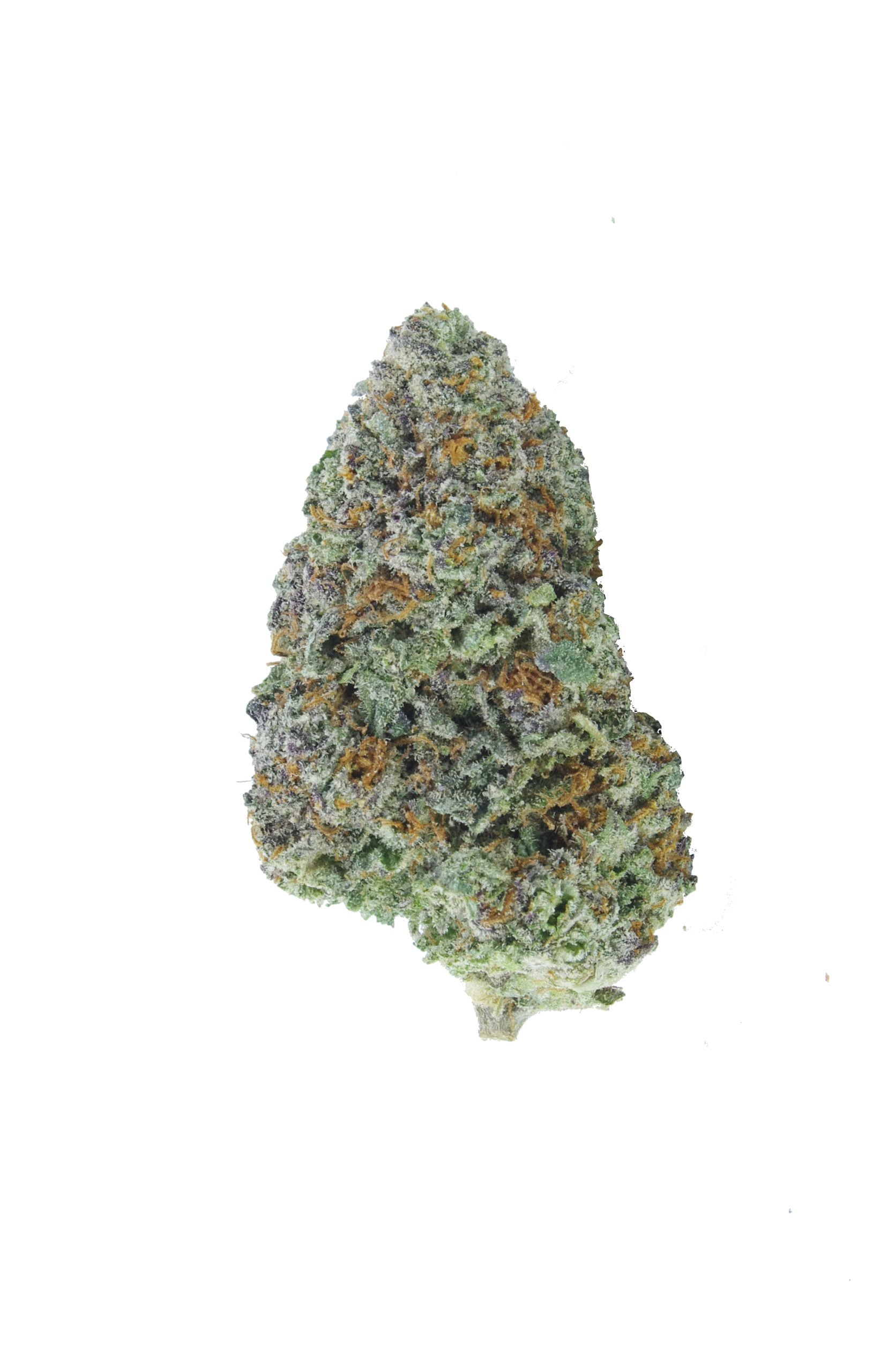 space cake bud scaled Space Cake Oz Special