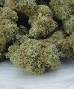 stardawg bag stardawg bag