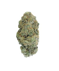 buy tropic truffle online