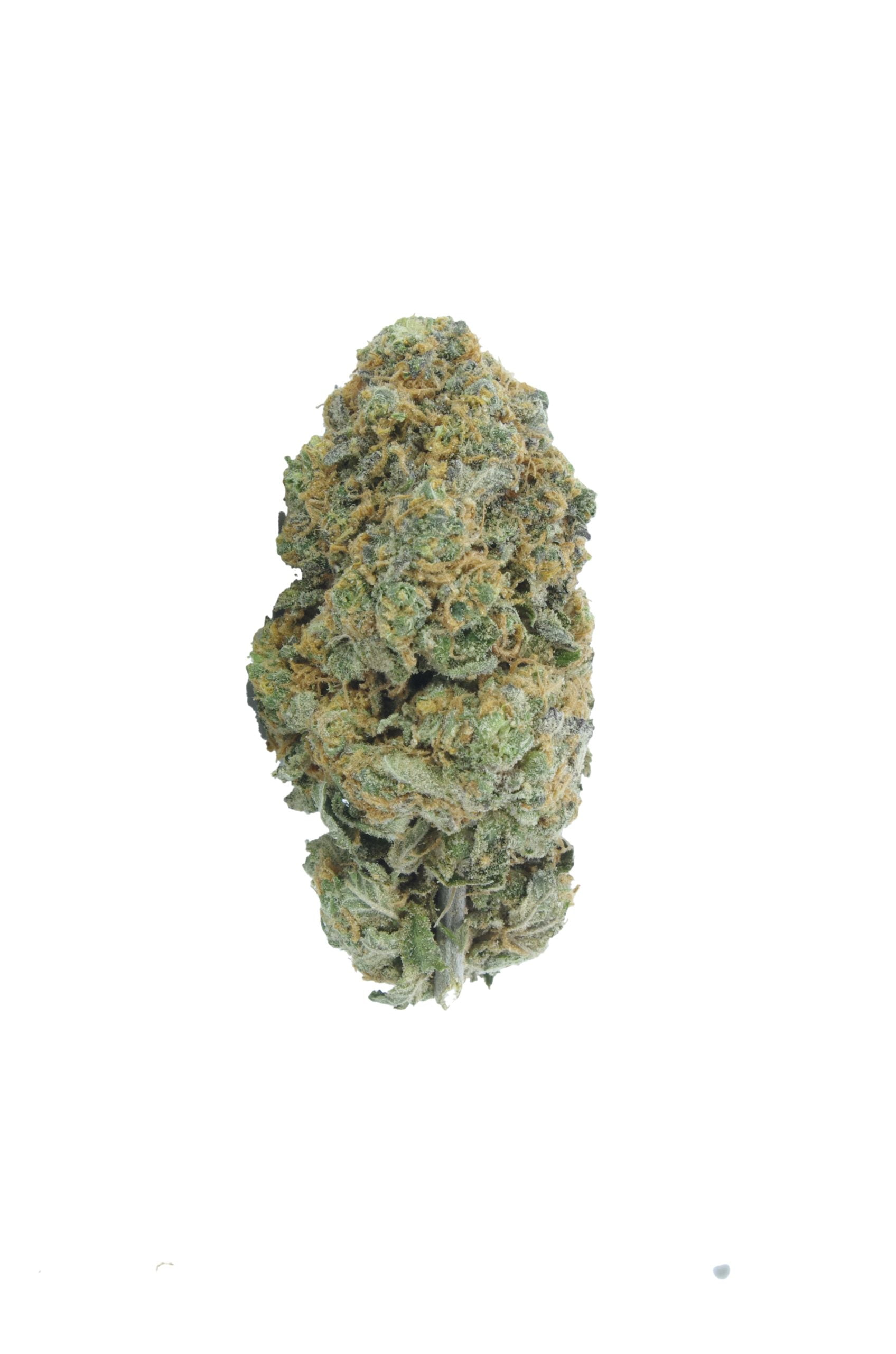 tropic truffle bud scaled Tropic Truffle Oz Special