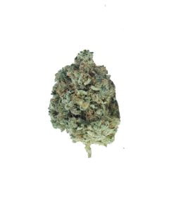 buy tuna kush online