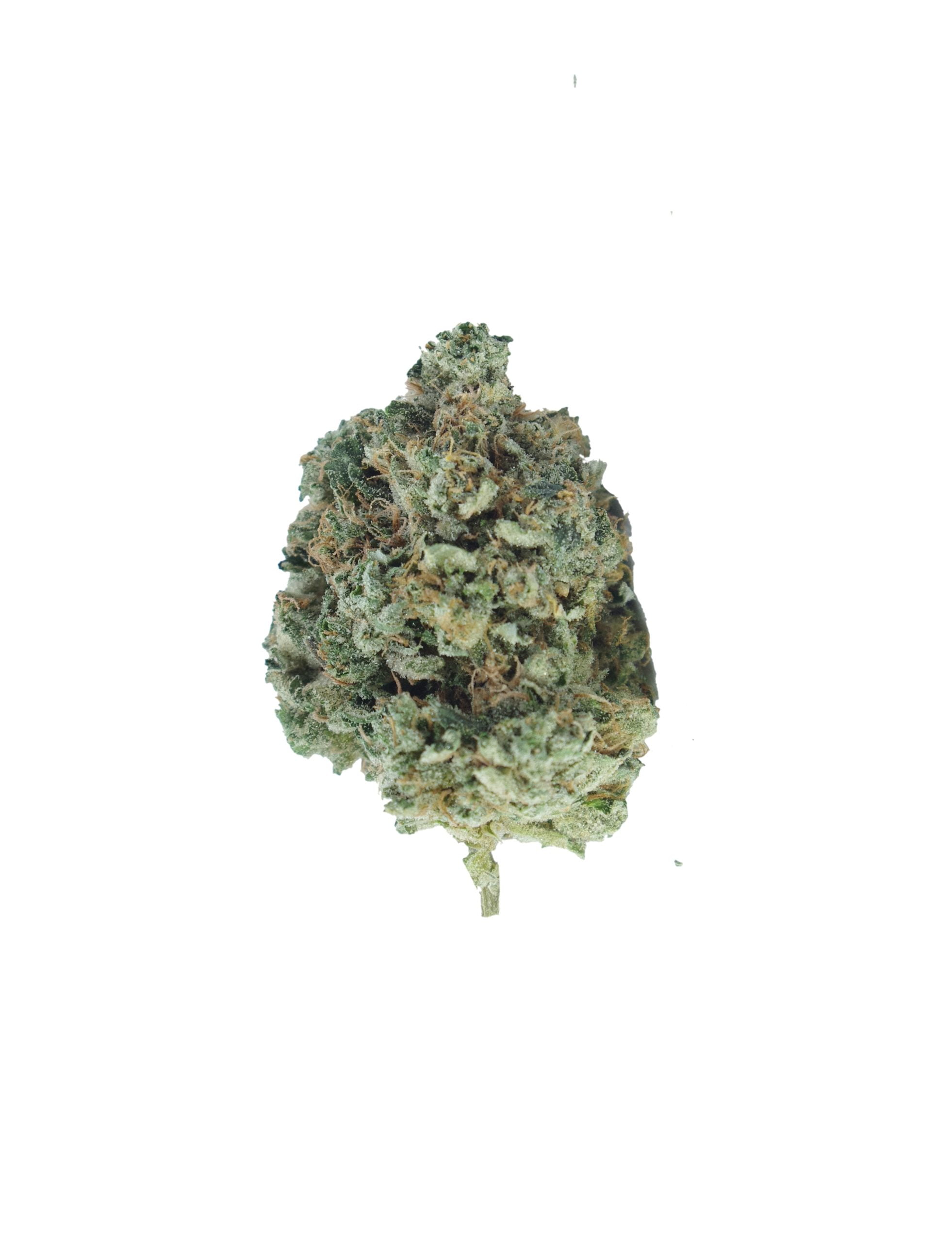 tuna kush bud scaled Tuna Kush Oz Special