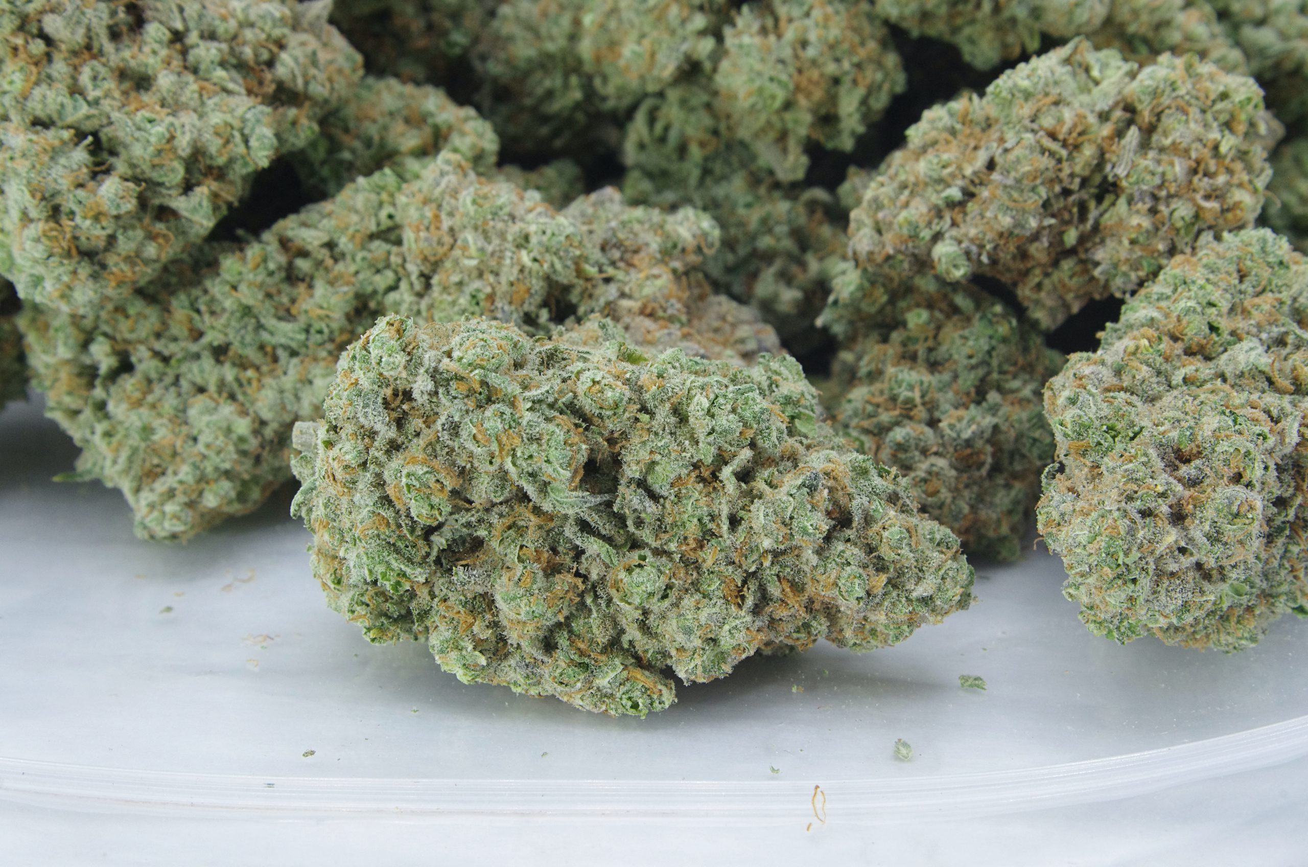 watermelon kush bag scaled Watermelon Kush Oz Special
