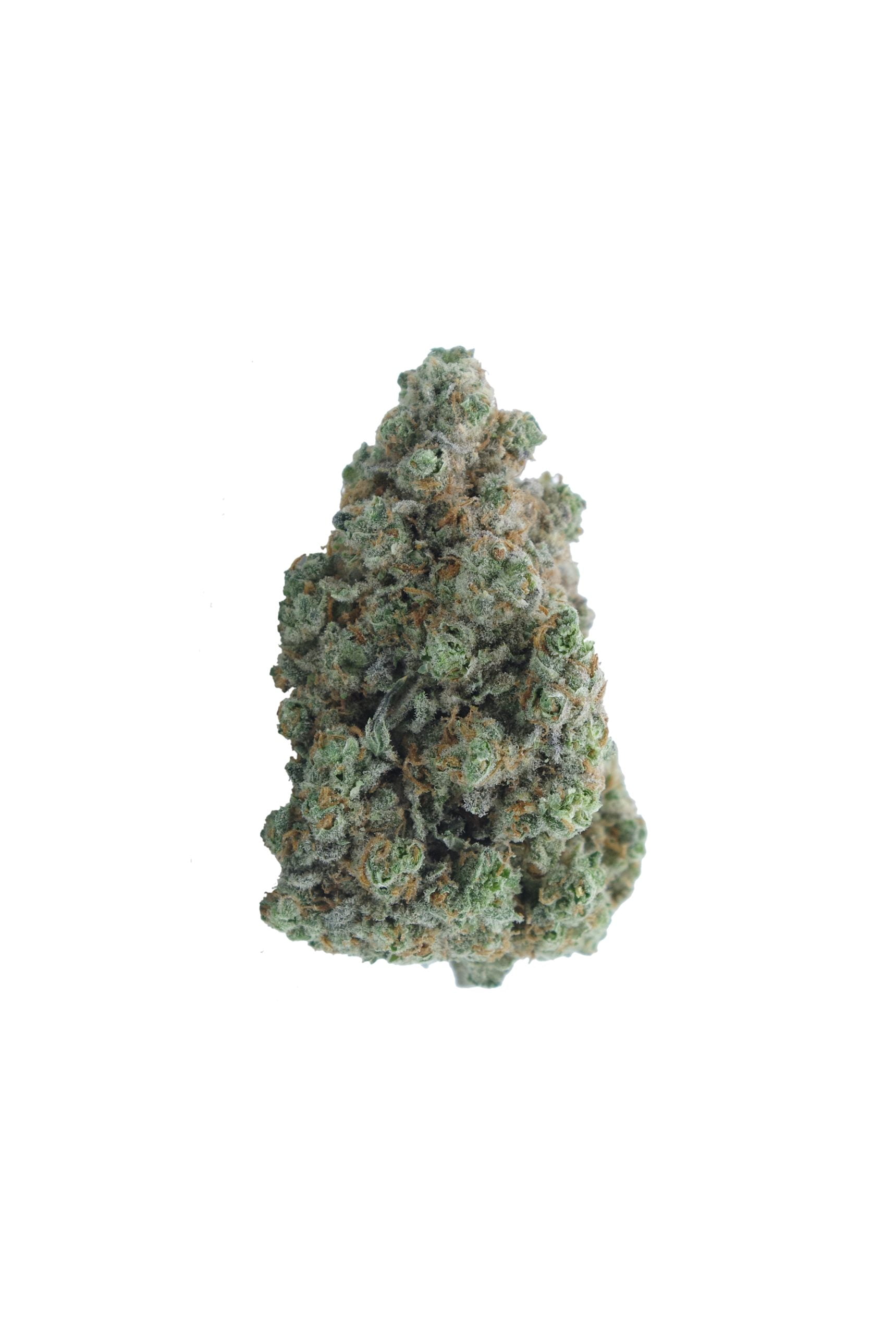 watermelon kush bud scaled Watermelon Kush Oz Special