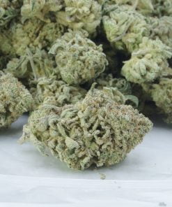 zombie og bag zombie og bag