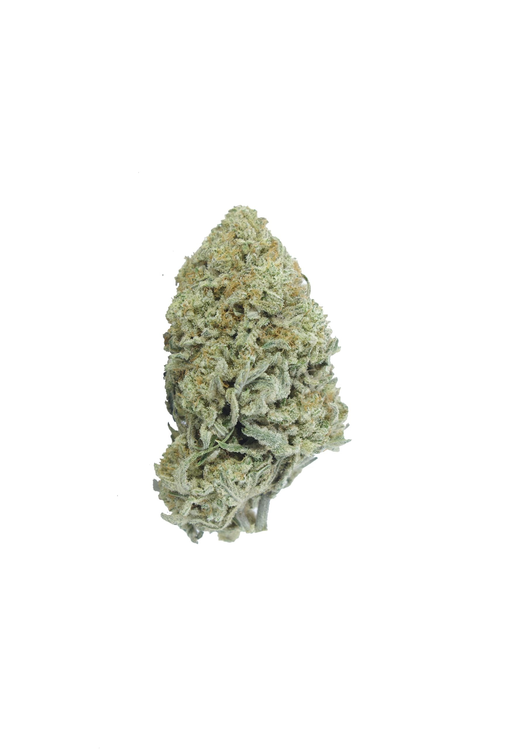 zombie og bud scaled Zombie OG (Oz Special)