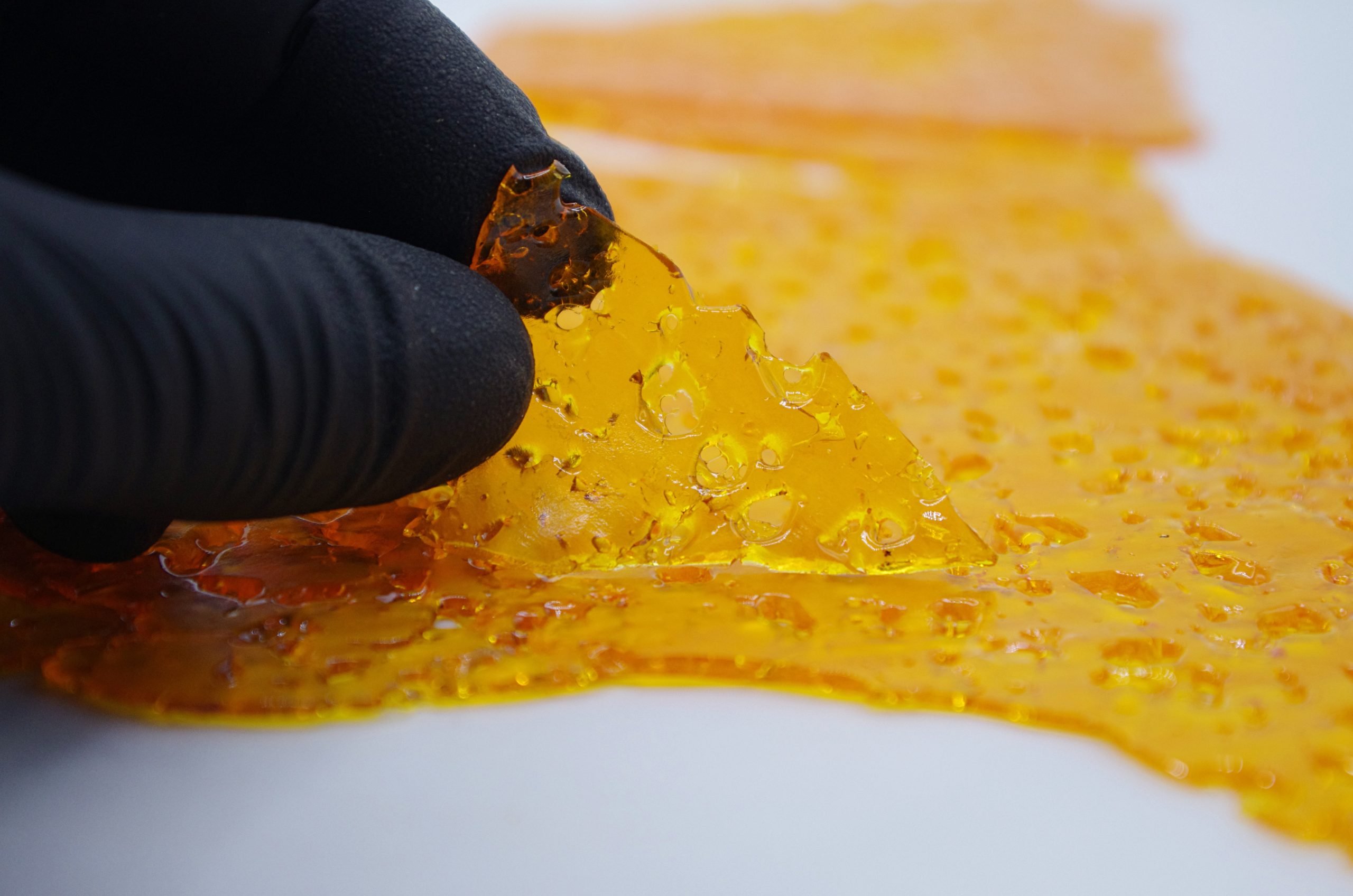 Amnesia haze shatter glove scaled Amensia Haze Shatter