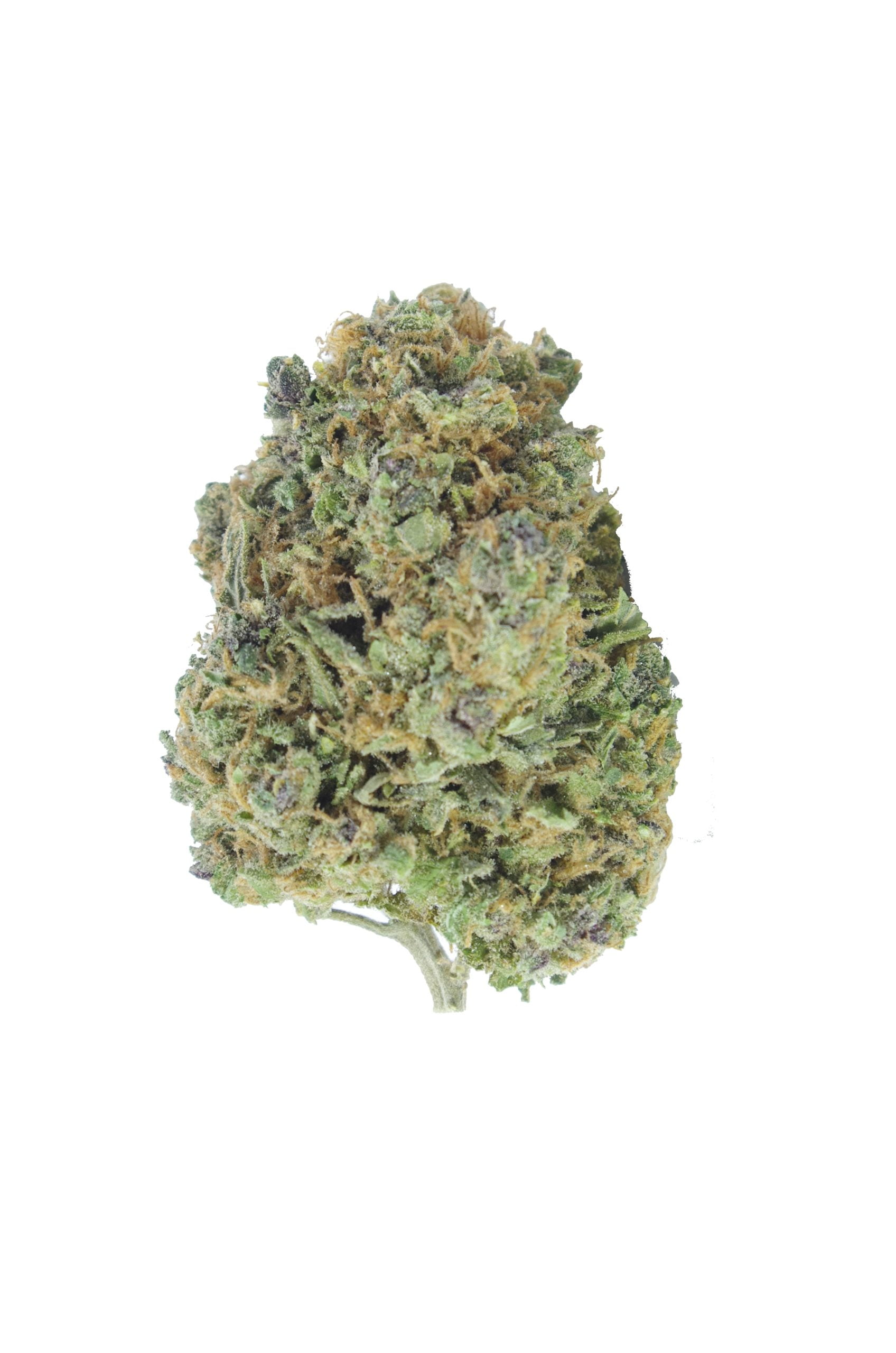 Cotton cnady kush bud scaled Cotton Candy (Oz Special)