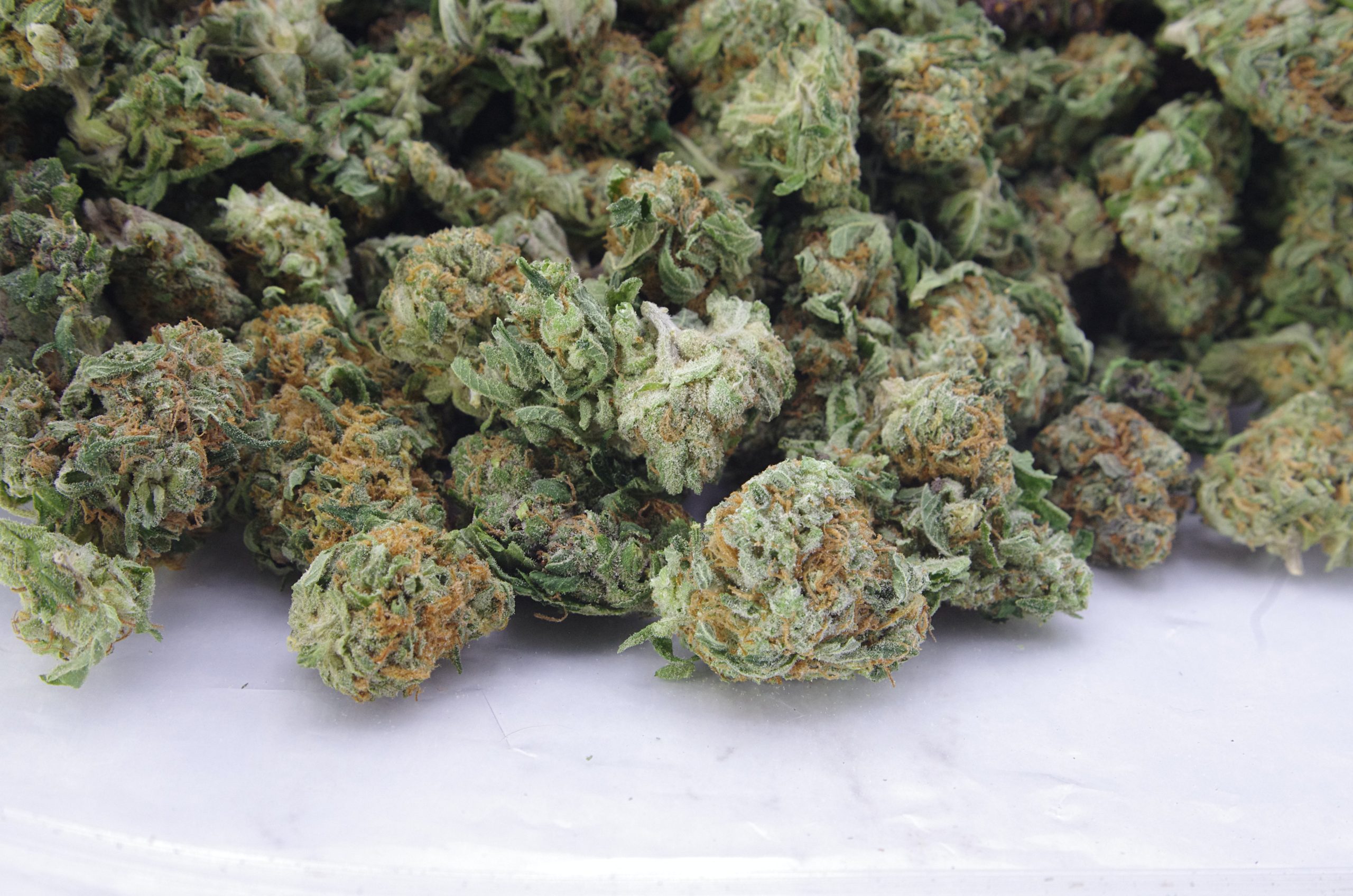 Haze small bag scaled Haze Smalls Oz Special