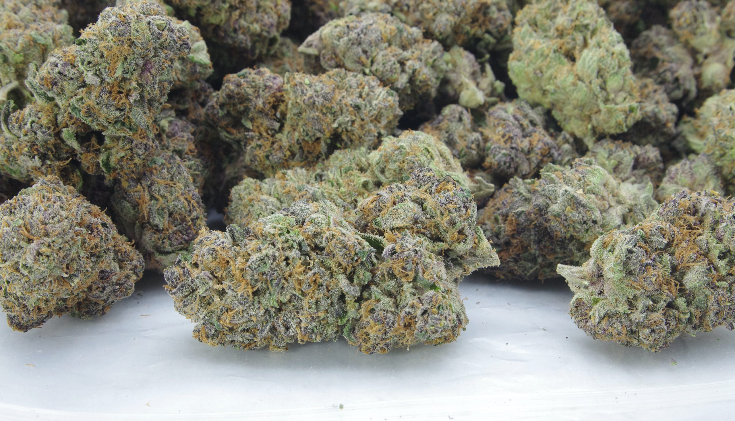 Mendocino Purps bag scaled Mendocino Purps (Oz Special)