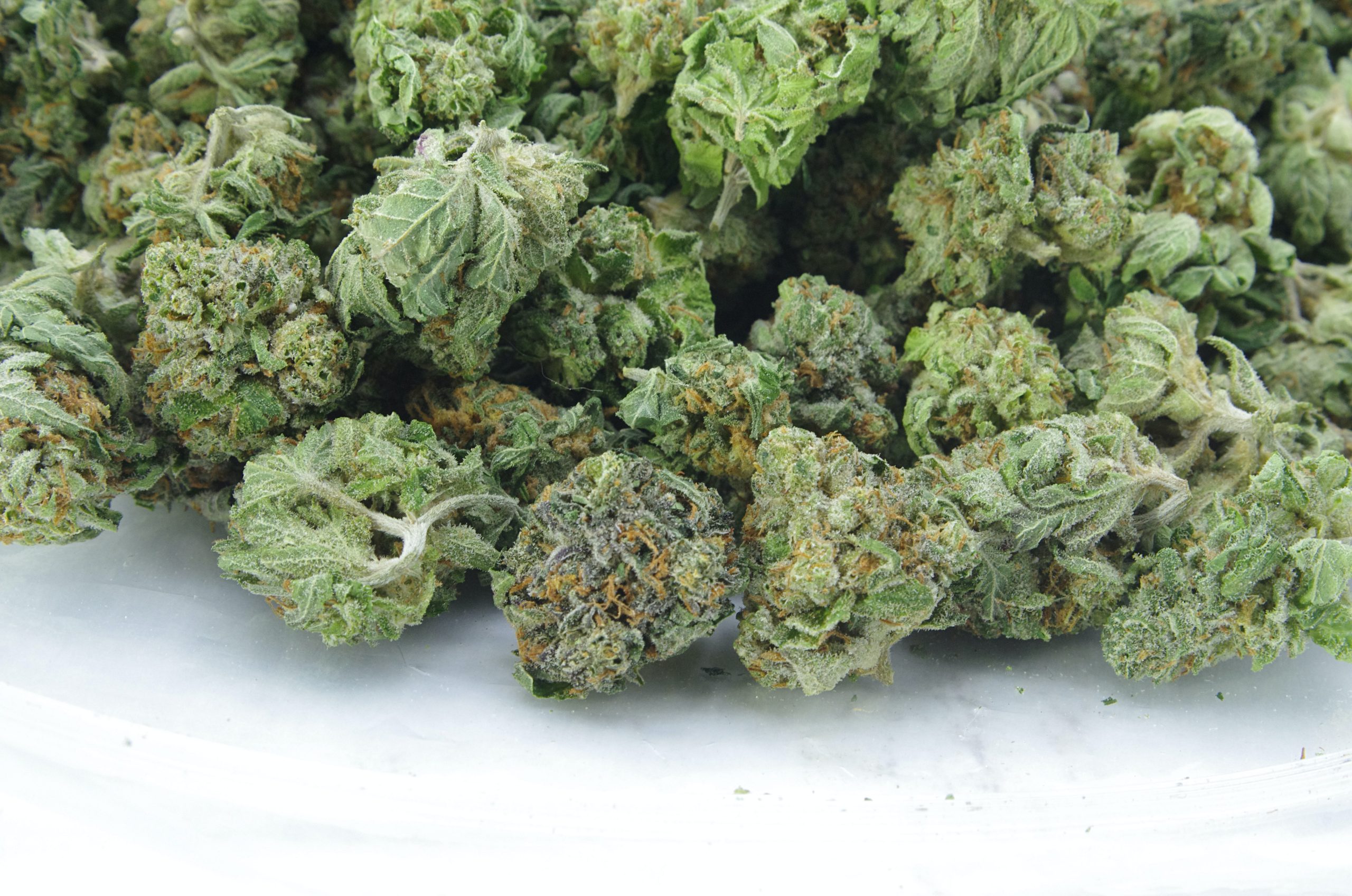 Og Diesel smalls bag scaled OG Diesel Smalls (Oz Special)
