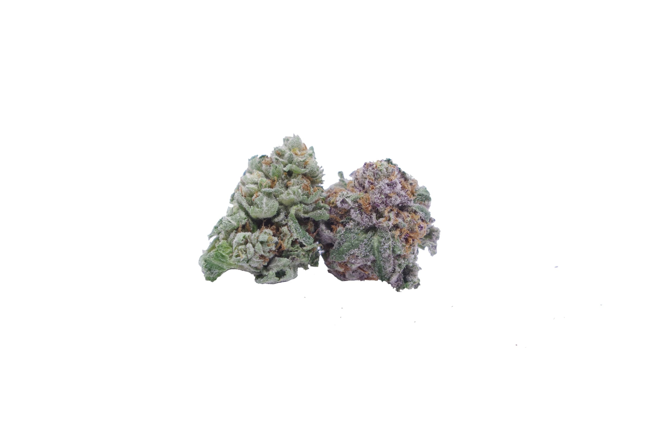 Sunset mac buds scaled Sunset MAC Smalls Oz Special
