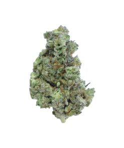 buy white truffle online