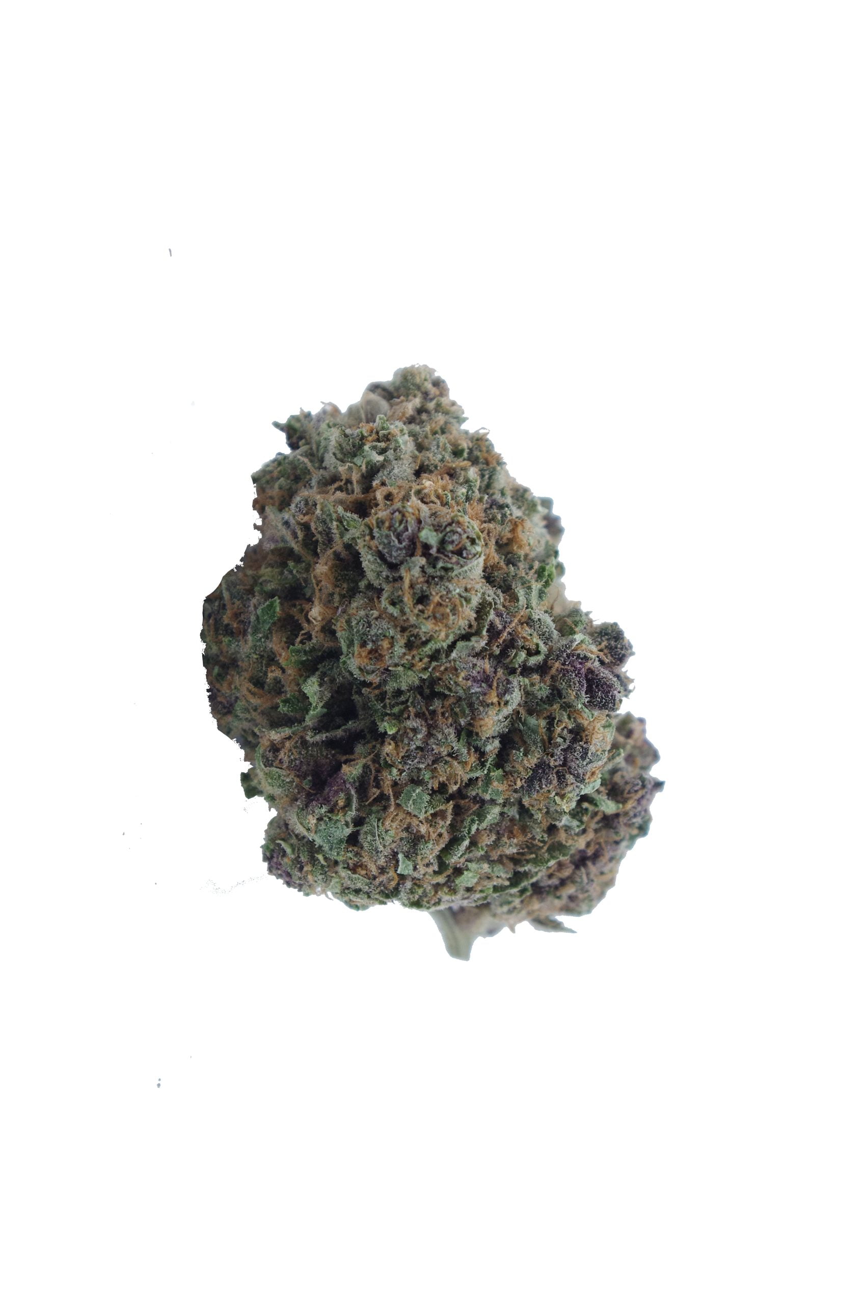berry haze bud scaled Berry Haze Oz Special