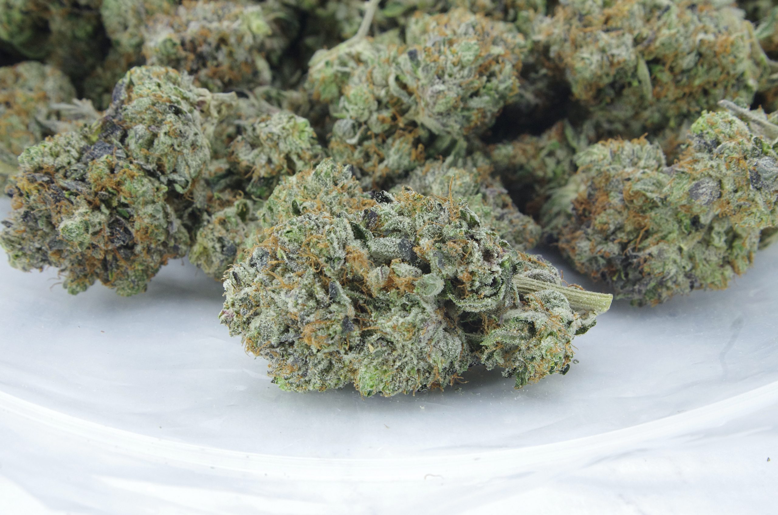 black bubba bag scaled Black Bubba Oz Special