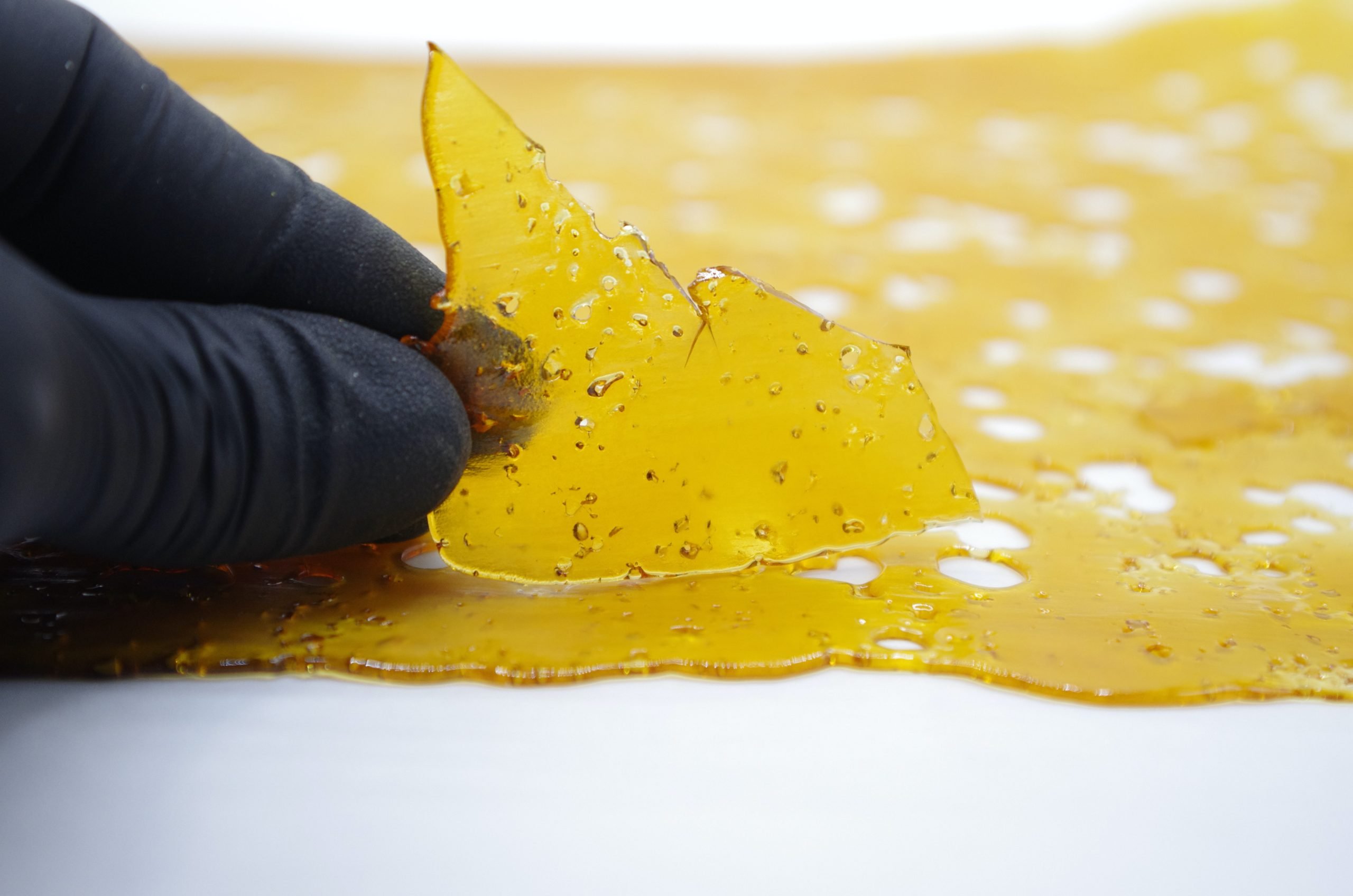 blueberry og shatter glove scaled Blueberry OG Shatter
