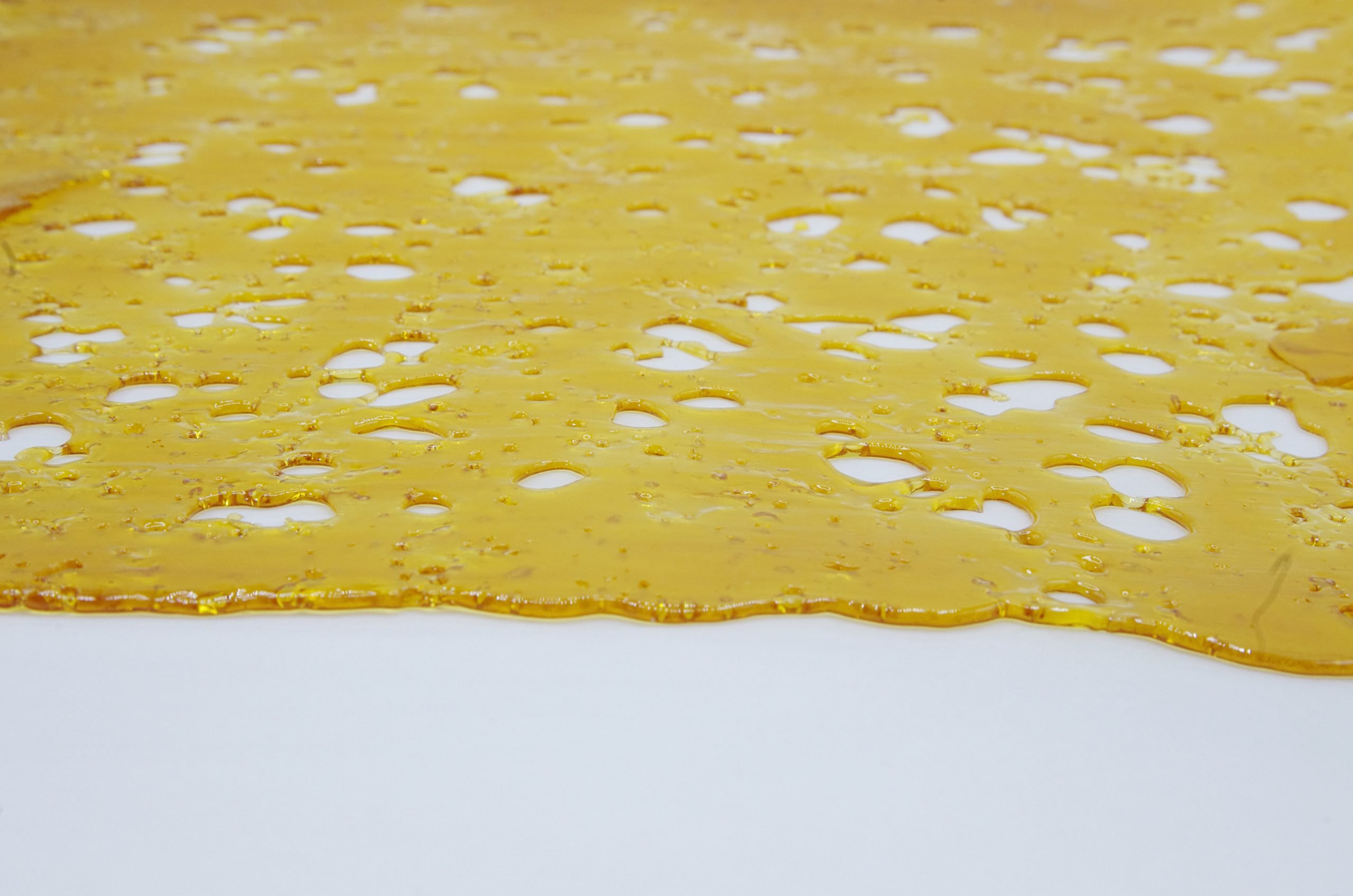 blueberry og shatter scaled Blueberry OG Shatter
